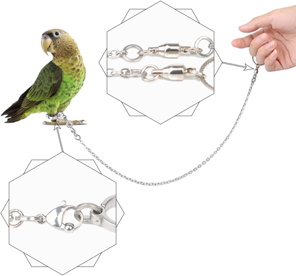 XUSUD Bird Foot Rings Stainless Steel Split Bird Rope Rings Anti-Bite Bird Training Chains for Parrot or Starling Bird Pets