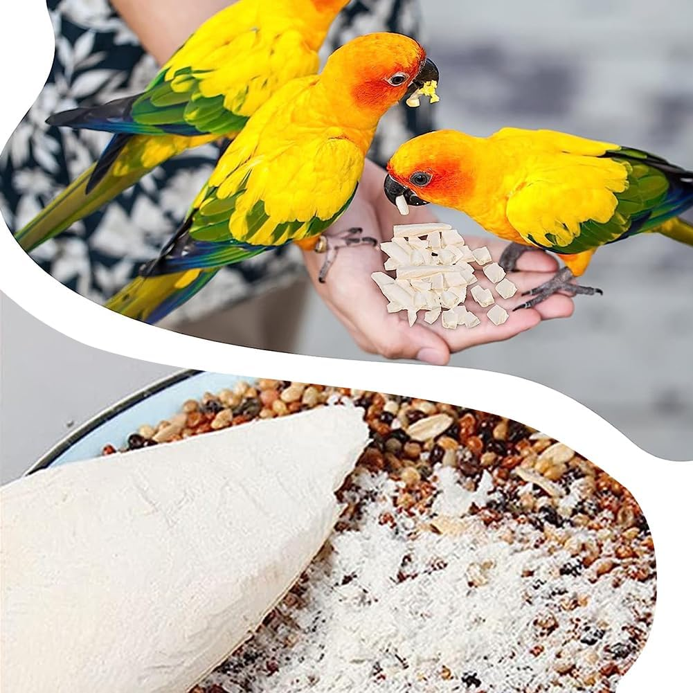 Natural Cuttlefish Bone 8 Pieces for Birds, Parrots and Turtles &ndash; Toys image number 1