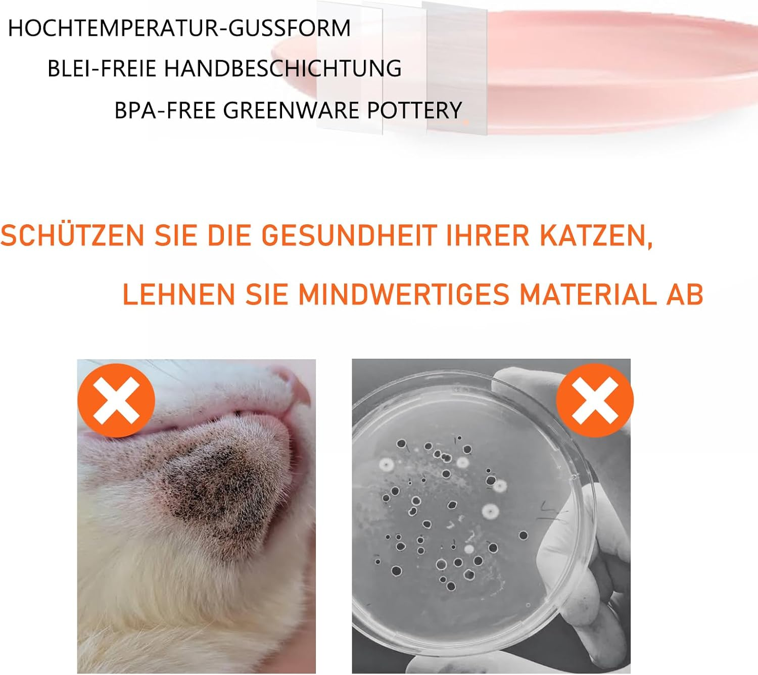 Cat Bowl, Ceramic Feeding Bowl, Cat Bowl, Set of 3, Colourful Cat Bowls, Porcelain Feeding Bowl, Flat Cat Plate, Cat Food Bowl Set, Diameter 15 Cm image number 5