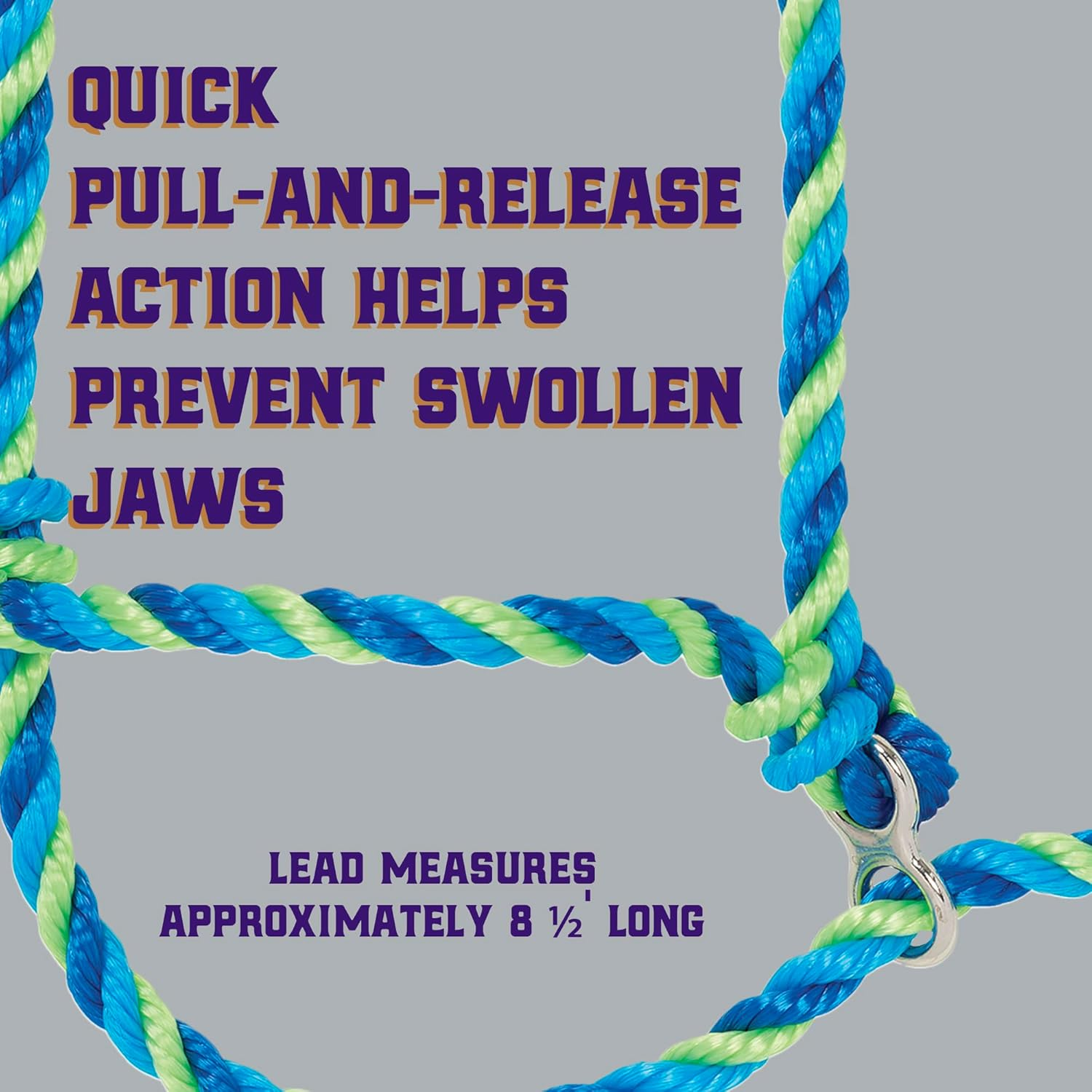 Weaver Leather Livestock Kirk Stierwalt Breaking Halter, Blue/Hurricane Blue/Lime Zest image number 1