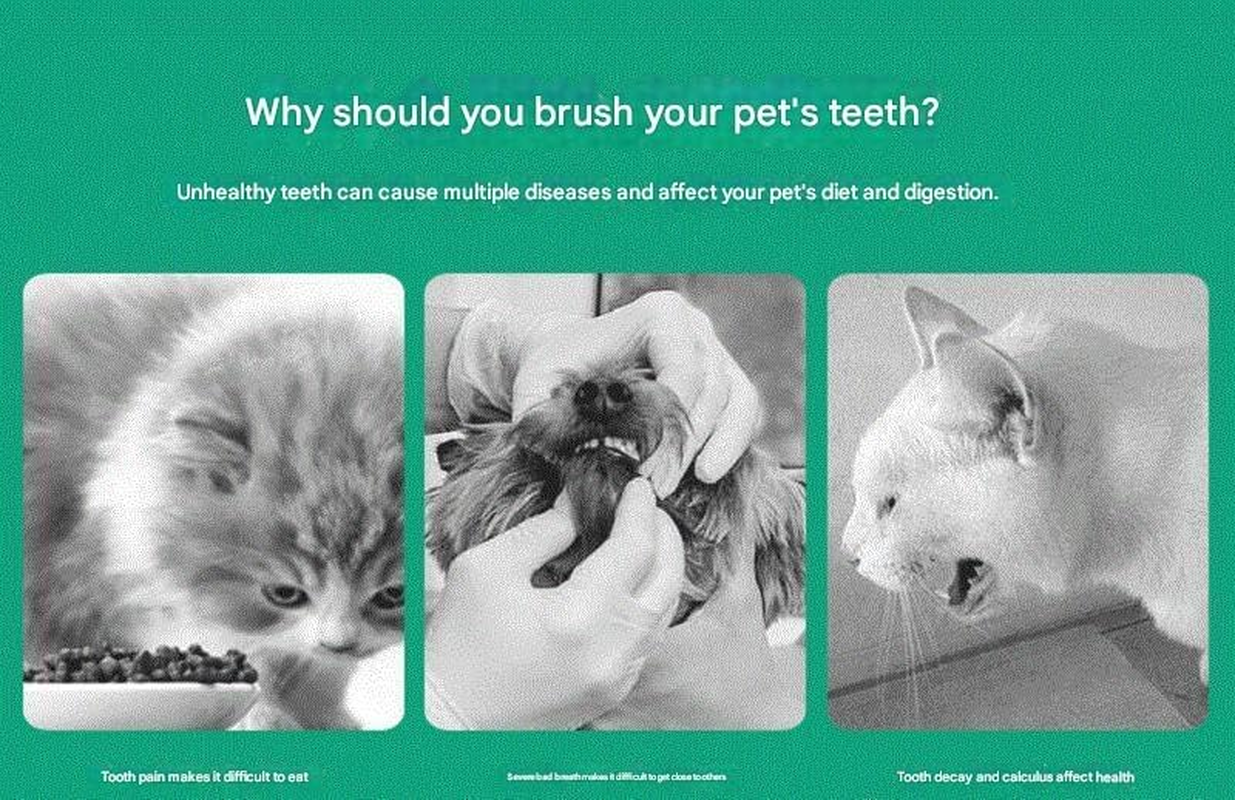 4Pack Dog Toothbrush Dog Tooth Brushing Kit, Cat Finger Toothbrush for Dogs Small Breed, Medium Large Dogs, Puppy Toothbrush for Dog Teeth Cleaning & Dental Care, Pet Finger Toothbrush Kit (White+Pink+Blue+Orange, One Size) image number 1