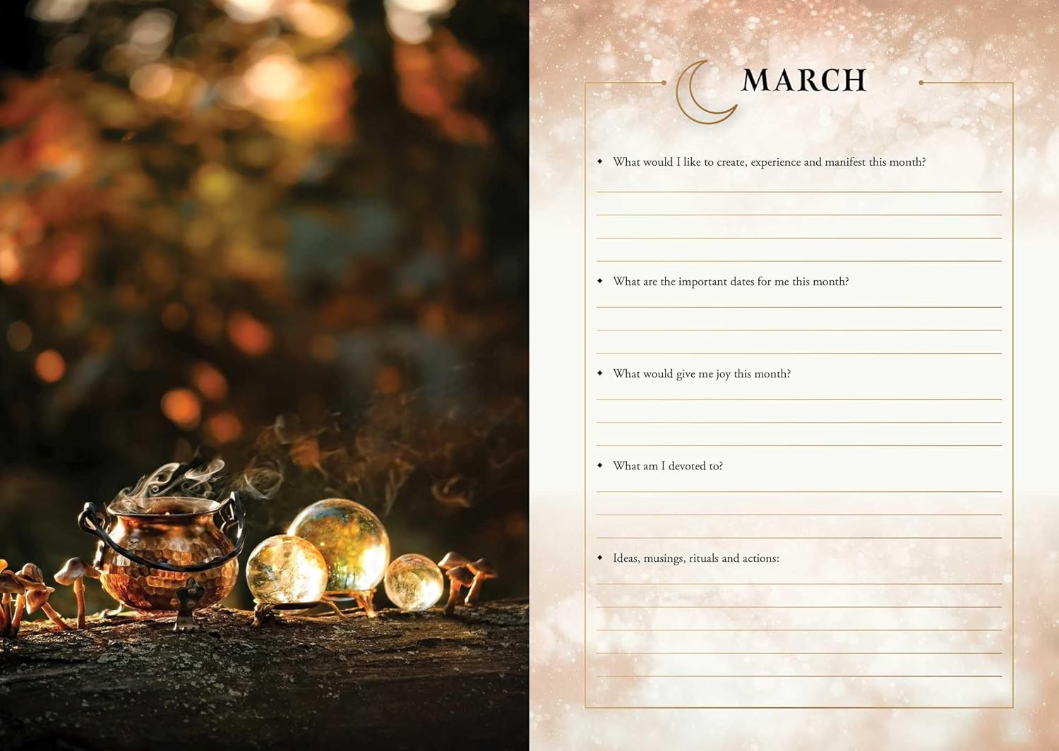 2026 Lunar and Seasonal Diary: Southern Hemisphere image number 1