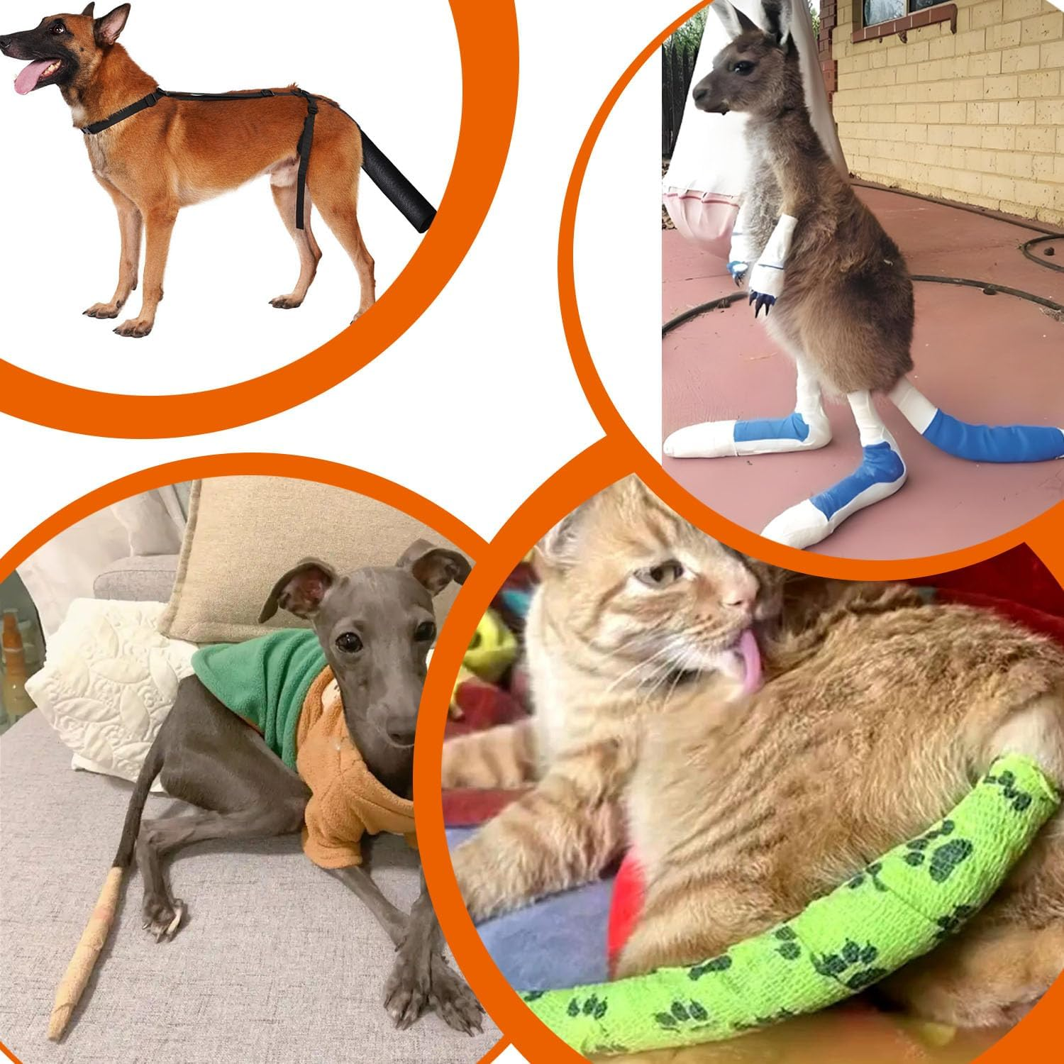 Dog Tail Protector Guard for Medium Large Dogs Adjustable Dog Tail Cover to Prevents Licking Wounds Ends Protector Breathable End Bag for Happy Syndrome Recovery (M) image number 6