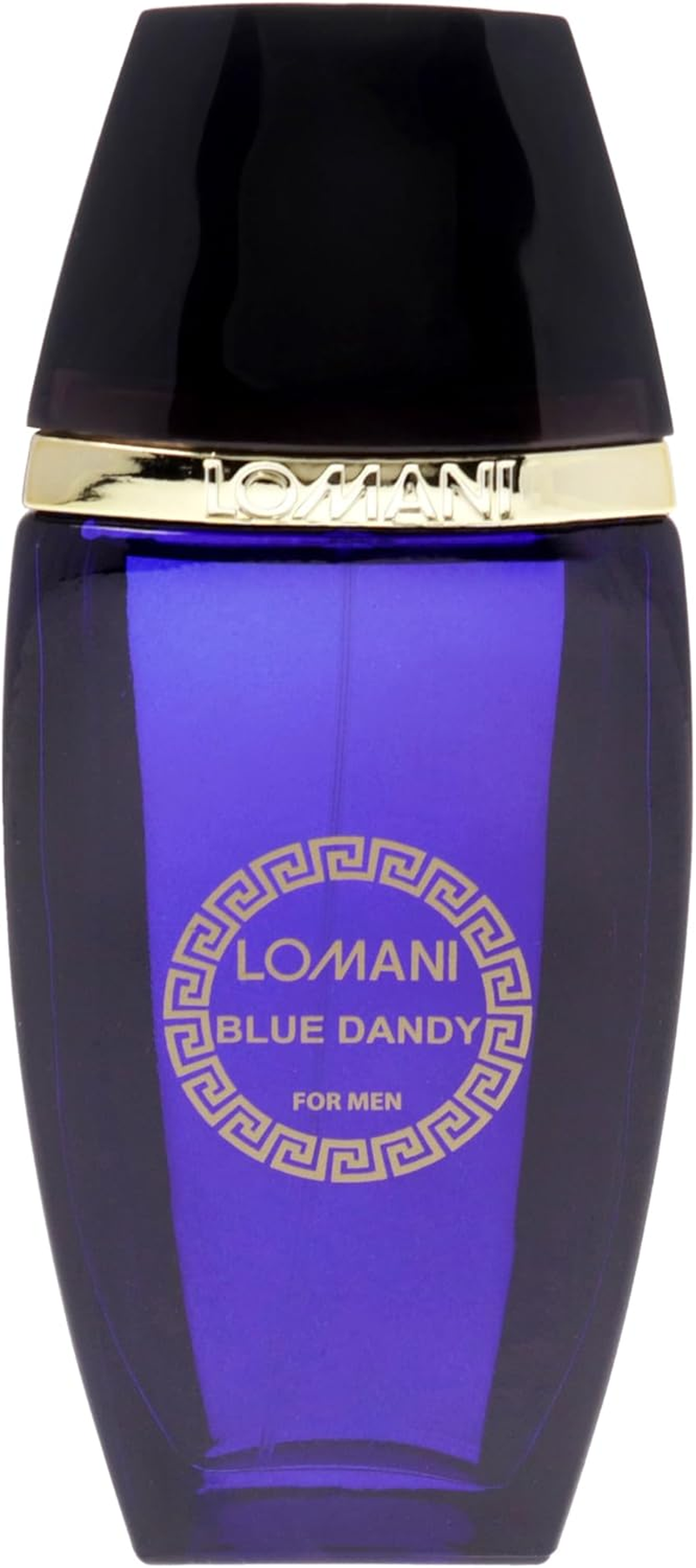 Blue Dandy by Lomani for Men - 3.3 Oz EDT Spray image number 1