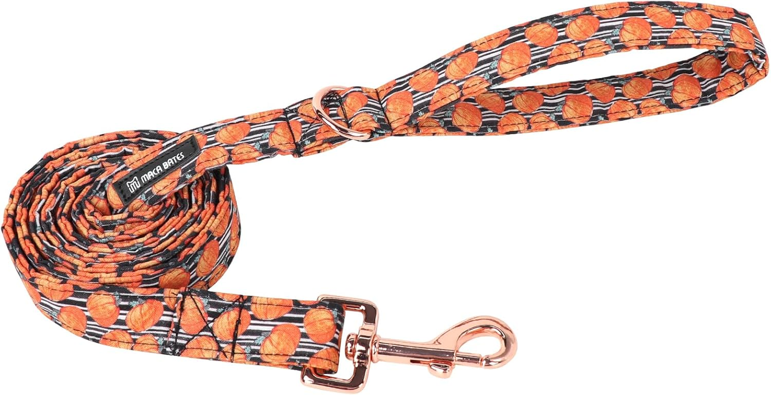 Maca Bates Halloween Dog Leash for Small Medium Large Dog image number 6