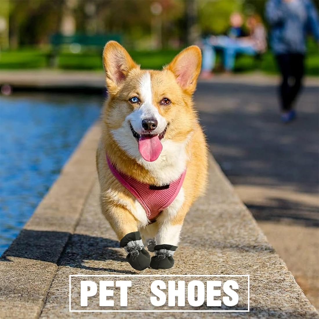 EODKSE 2 Pairs of Dog Boots Paw Protection - Soft, Adjustable Indoor Non-Slip Socks for Dogs on Hardwood Floors - for Aging Dogs, Offer Your Dog Optimal Comfort during All Activities image number 2