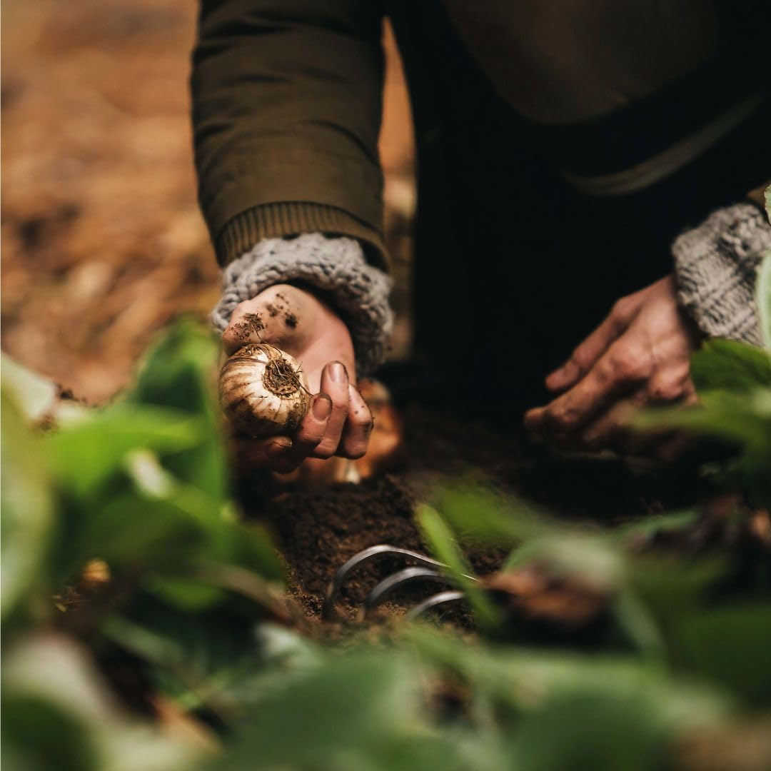 Fiskars Xact Hand Rake, Heavy Duty Gardening Hand Tool with Ergonomic Handle and Hanging Hole for Storage, Stainless Steel Head and Tines, Perfect for Maintaining a Raised Garden Bed image number 2