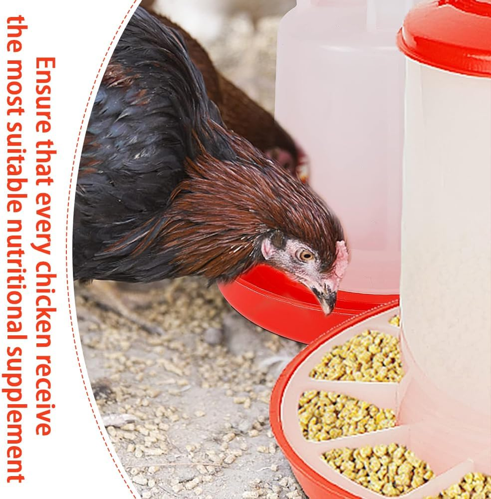 Chick Feeder Kit,Chicken Water Fountain,Feeding Container with Carrying Handle,Poultry Feeding Equipment Set,Chick Brooder Starter,For Baby Chicken,Duck Brooder