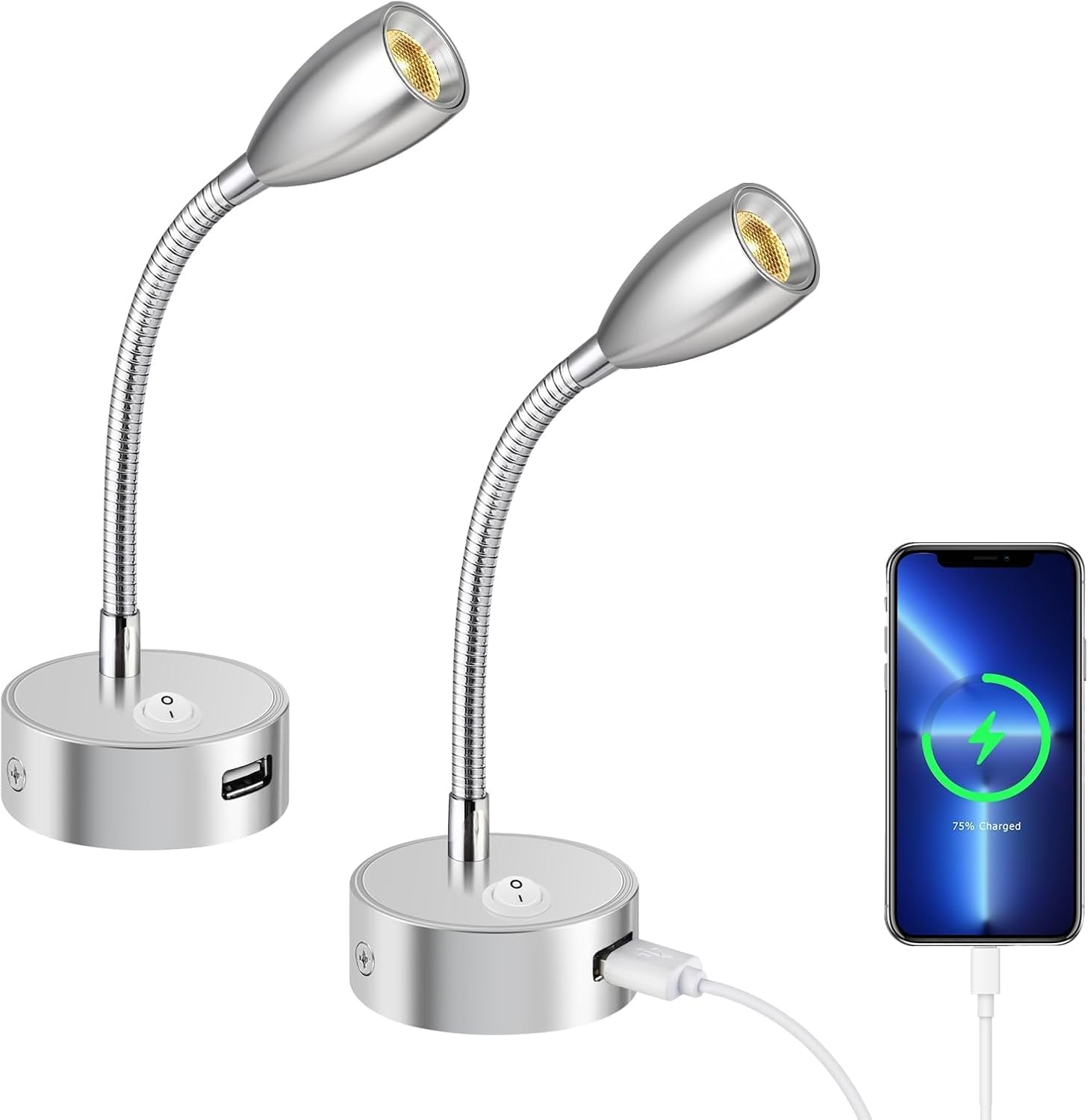 ERWEY 2 LED Reading Lamps, 12 V Motorhome, 3 W, 3000 K Wall Light, Bed Lamp with Flexible Gooseneck and USB Charging Port, DC12-24 V Spot for Boat, Yacht, Car, Van, Caravan, Interior Lighting, Silver