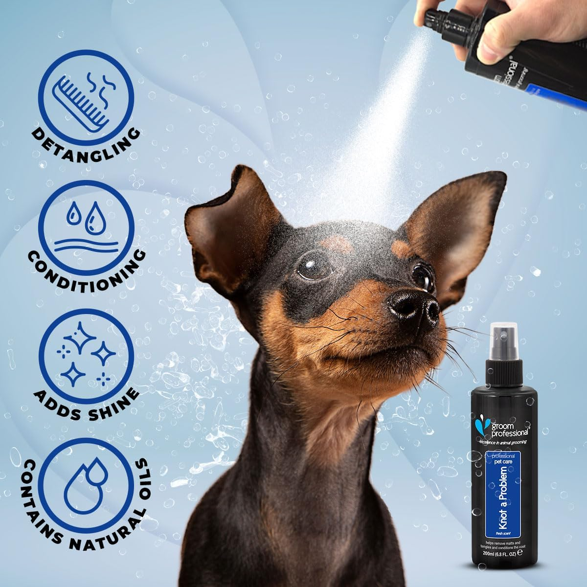 GROOM PROFESSIONAL Knot a Problem Detangling Dog Spray - Dog Detangler Spray for Tangled Fur - Eases Out Knots and Tangles - Helps Removes Matts - Adds Shine and Deep Conditioning, 200Ml image number 3