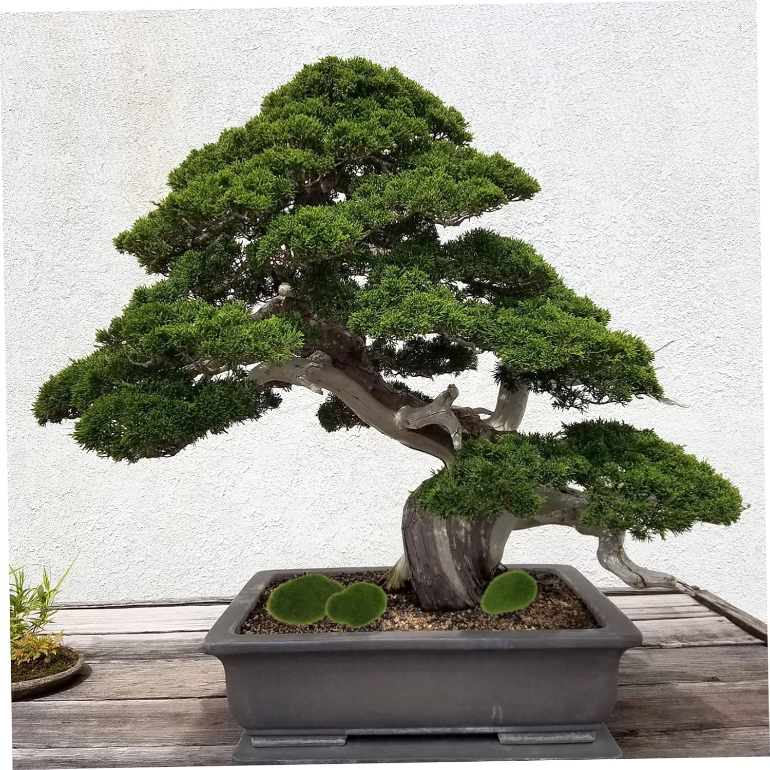 20Pcs Artificial Moss Stone Fish Tank Mossy Stone Faux Stone Simulated Mossy Stone Artificial Rock for Moss Miniatures Terrarium Moss Stones Vivid Mossy Landscape Stone Green Foam image number 3