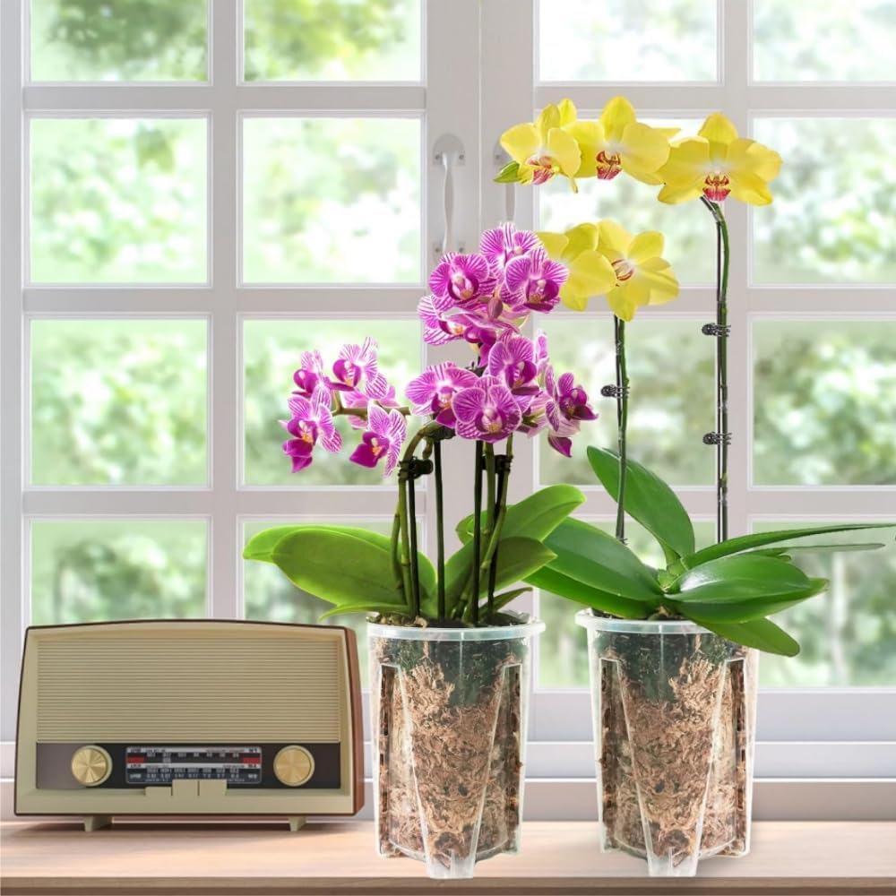 5 Pcs Orchid Pots, 4.7Inch Clear Orchid Pots with Holes and Saucers, Breathable Slotted Orchid Planter Indoor Outdoor,For Repotting Flowers image number 1