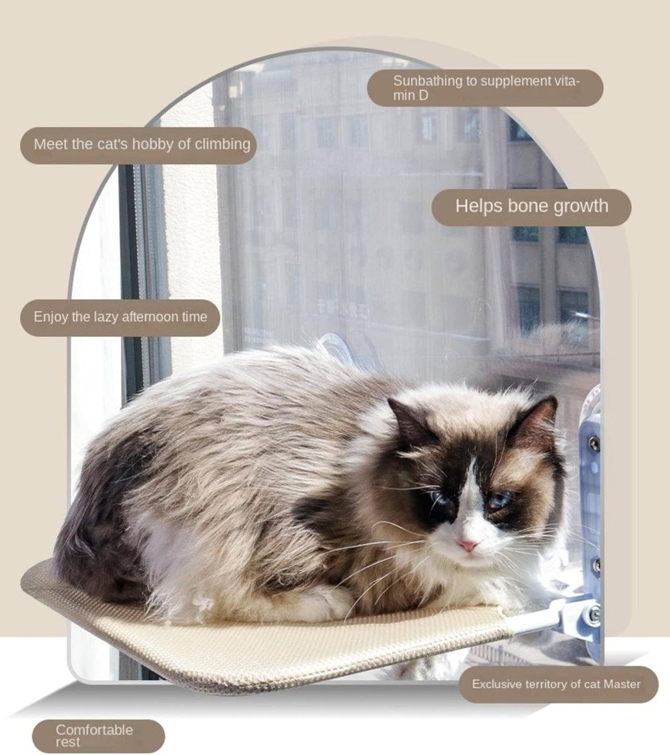 Cat Hammock Suction Cup Glass Cat Bed Hanging Window Cat Hanging Bed Cat Nest/170 image number 3