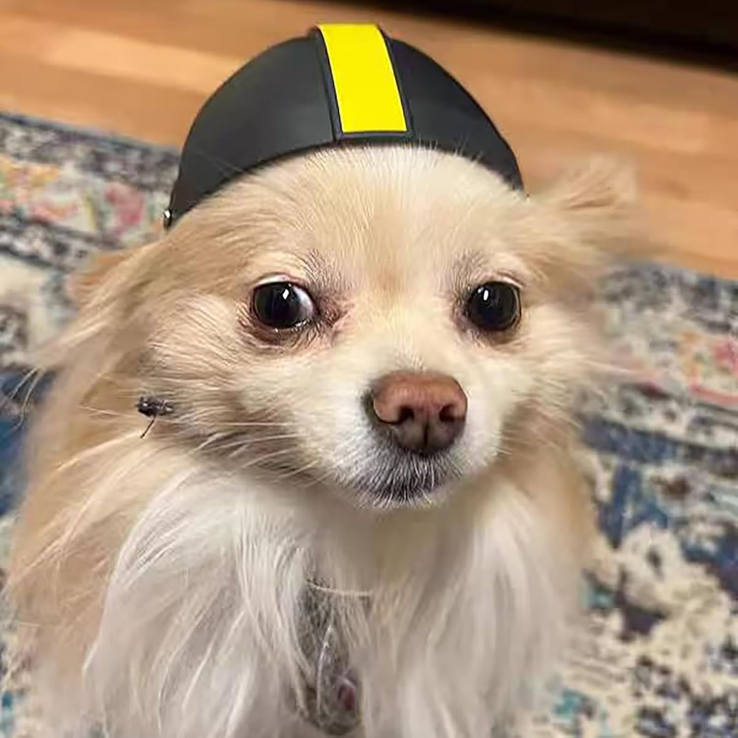 IUOUTG Pet Helmet for Small and Medium Dog with Ear Holes Cat Helmet Football Dog Helmet Outdoor Motorcycle Puppy Hard Hat for Dogs and Cat Pet Riding Supplies image number 4