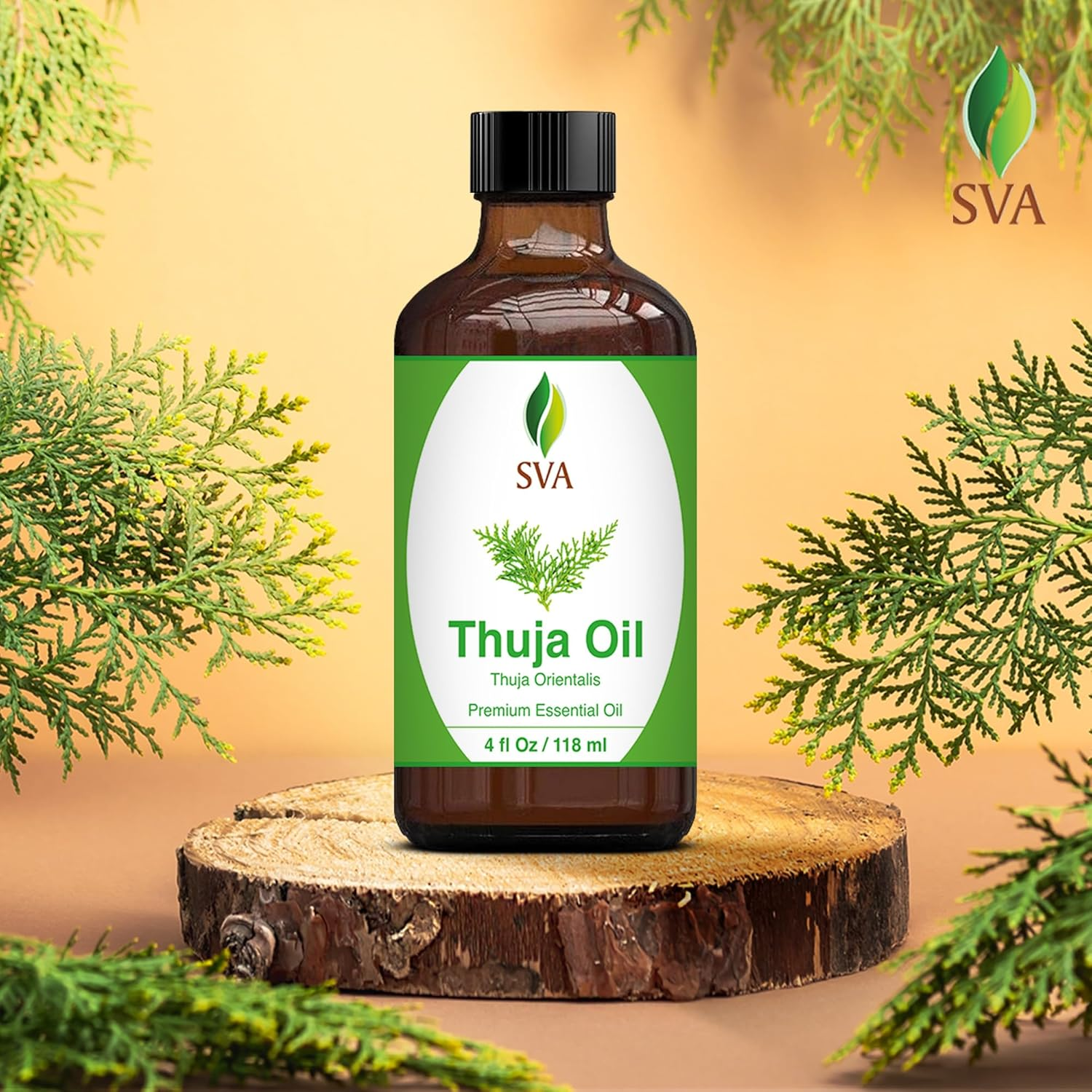 SVA Organics Thuja Oil (118 Ml) 4 Ozguranteed 100% Pure & Natural, Hexane Free, Authentic & Premium Therapeutic Grade Oil for Aromatherapy, Hair Care, Skin Care, Glowing Skin by SVA Organics image number 3