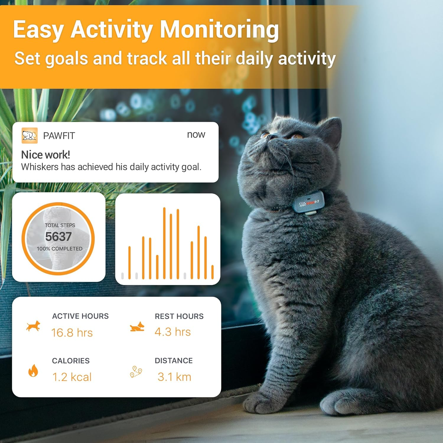 Pawfit Lite for Cats 4G GPS Tracker | Real Time Tracking | Activity Monitoring |Location History | Unlimited Range | Safety Collar Included | Onyx Black image number 4