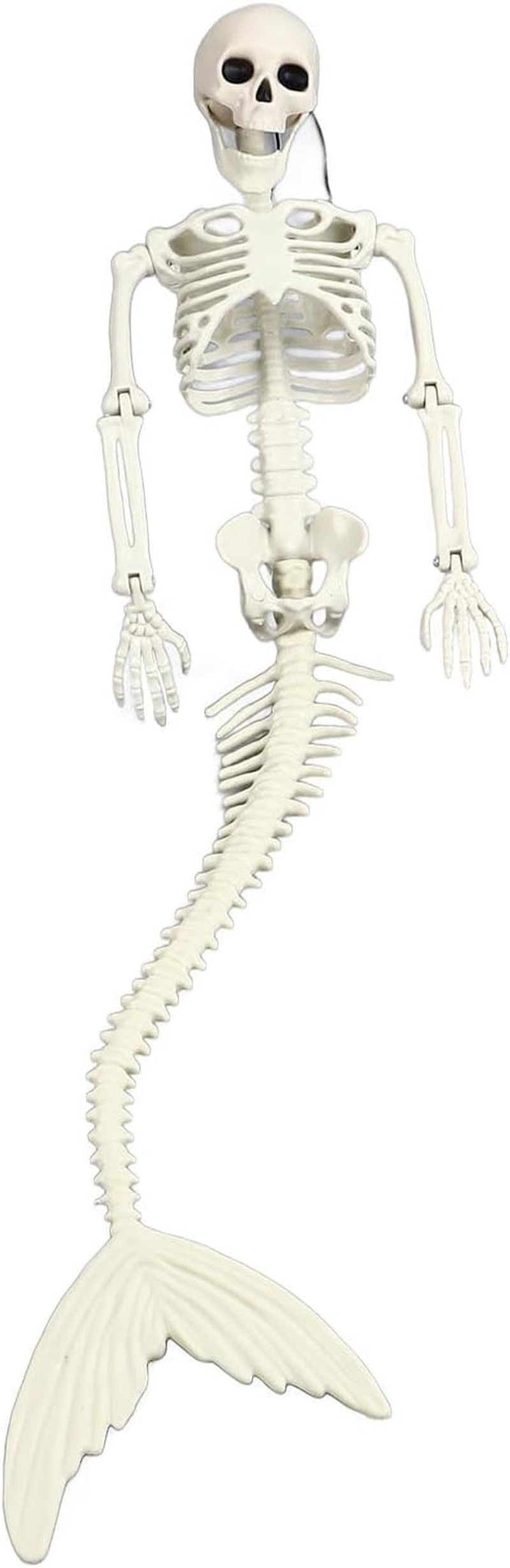 Skeleton, Life Size Skeleton Mermaid Halloween Outdoor Decorations Movable Posable Jointsfull Body Skeleton Mermaid Props,Halloween Skeleton Decorations Full Body Skeleton Mermaid image number 6