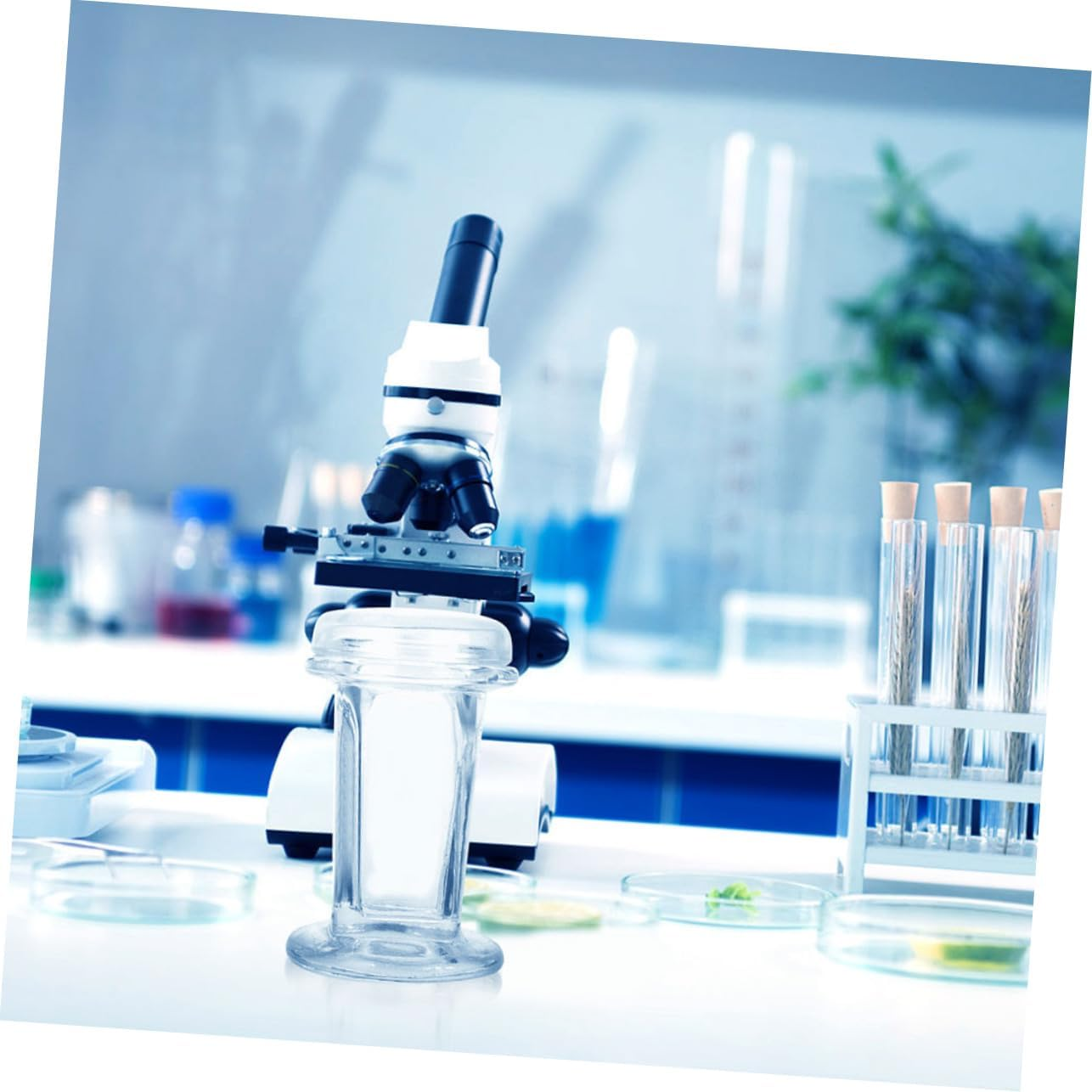 Gatuida 3Pcs Glass Lid Staining Jar Holds 5 Microscope Slides, Clear Glass Staining Jar for Cell Samples Histology and Clinical Labs 60Ml