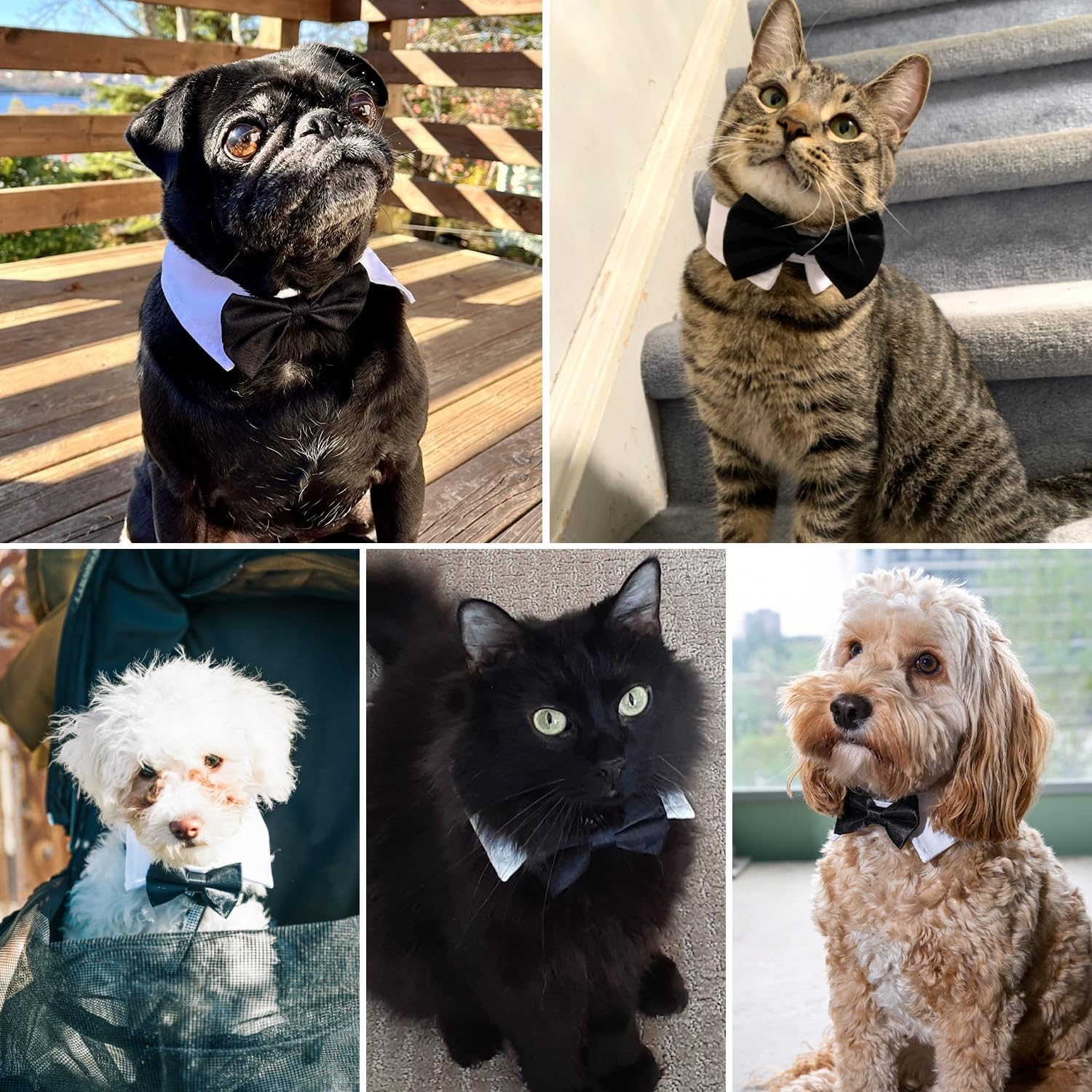 BOROLA Bow Tie Pets Dog Cat Adjustable Formal Collar Neck Tie Tuxedo (Black-S) image number 5