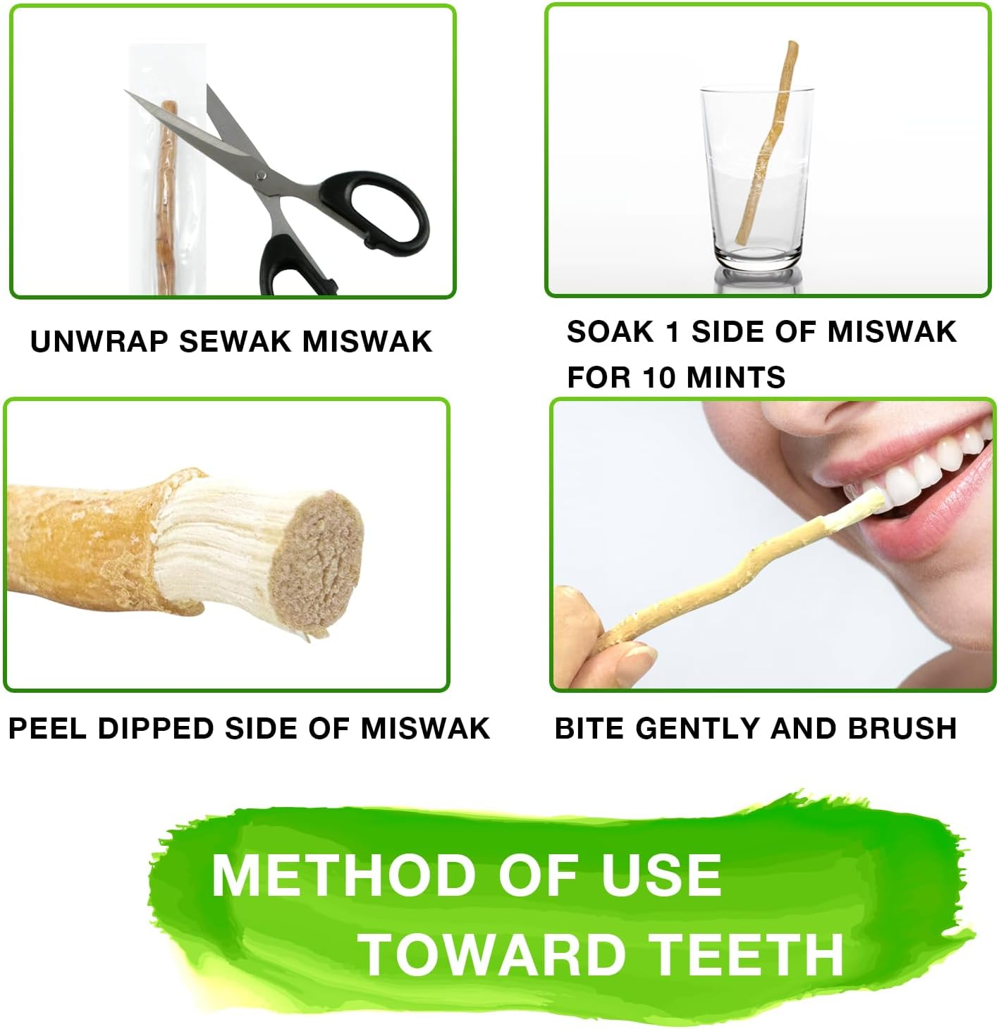6 Units Vaccum Packed with Holder Oral Hygiene Organic Natural Toothbrush Miswak with Holder(Holder Wiht Natural Toothbrush,Green)