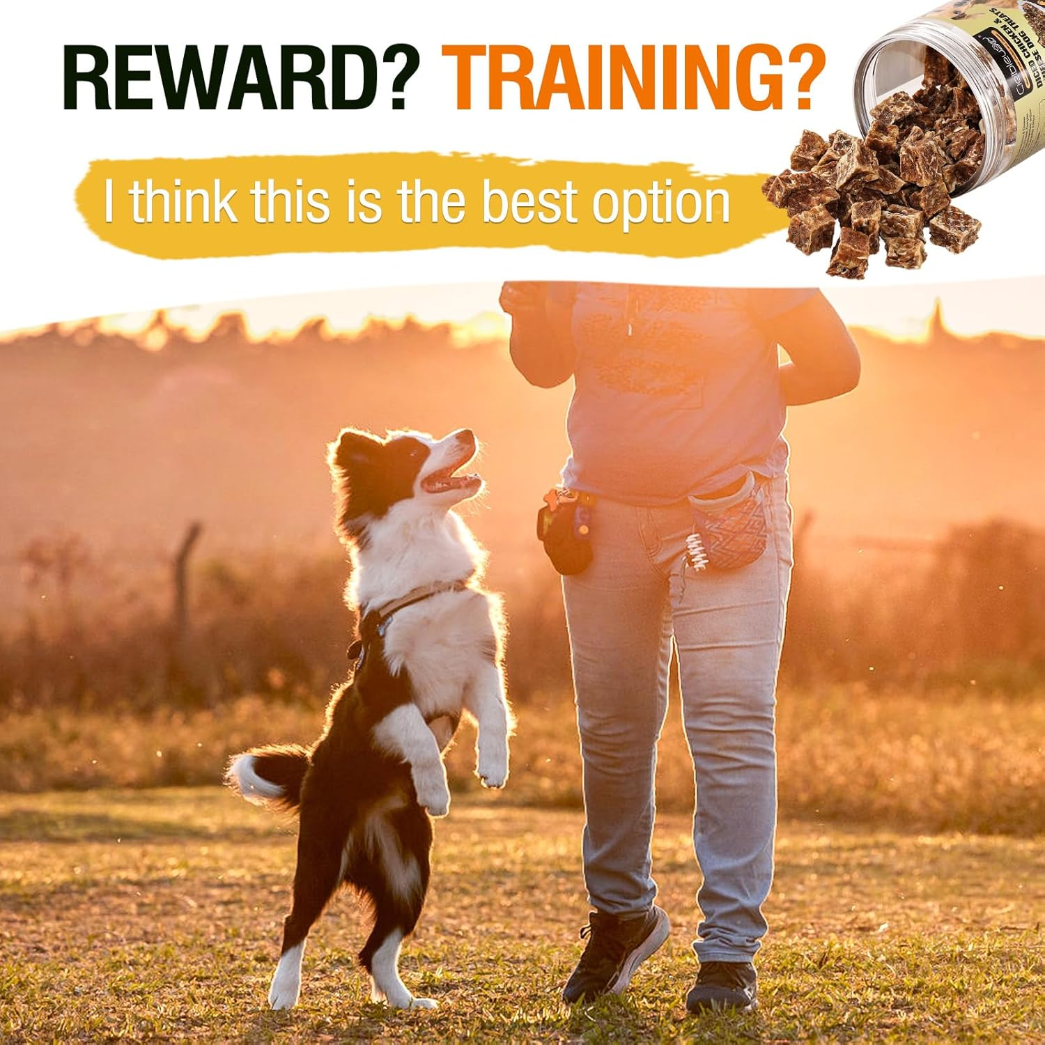 Chicken and Cheese Backed Dog Treats, 100% Real Meat,Natural, Grain-Free,Training or Rewards for Dogs,128G image number 1