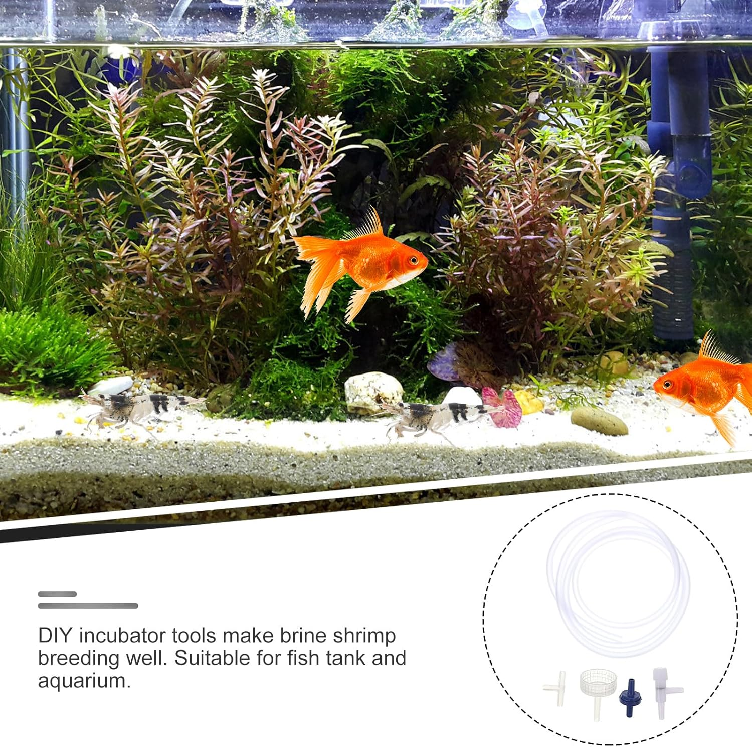 ASAKKURA 2 Sets Brine Shrimp Hatchery Kit 5Pcs DIY Breeding Accessories Aquarium Artemia Egg Incubator for Fish Tank Aquatic Pets image number 6