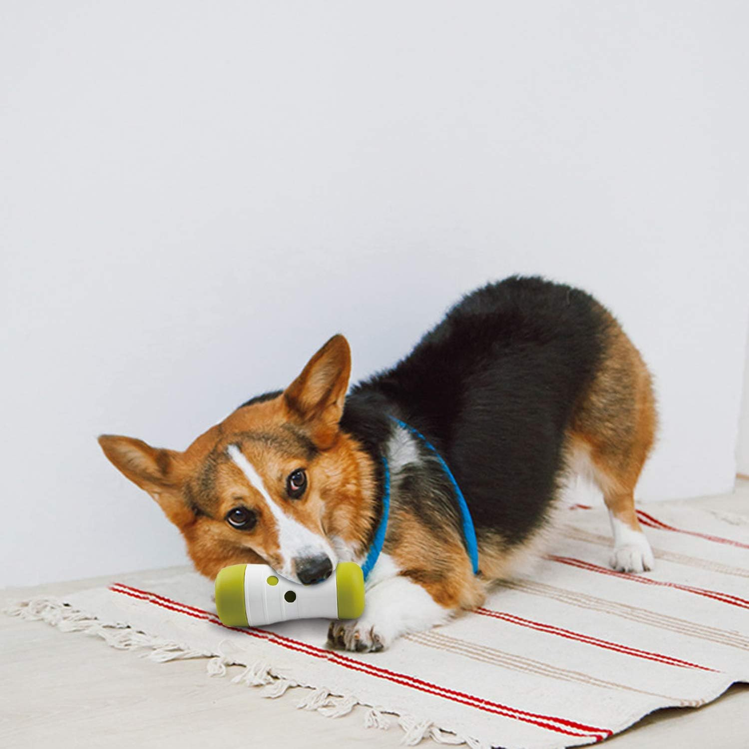 ALL for PAWS Interactives Treat Bomb for Dogs, 1.8 Kg image number 4