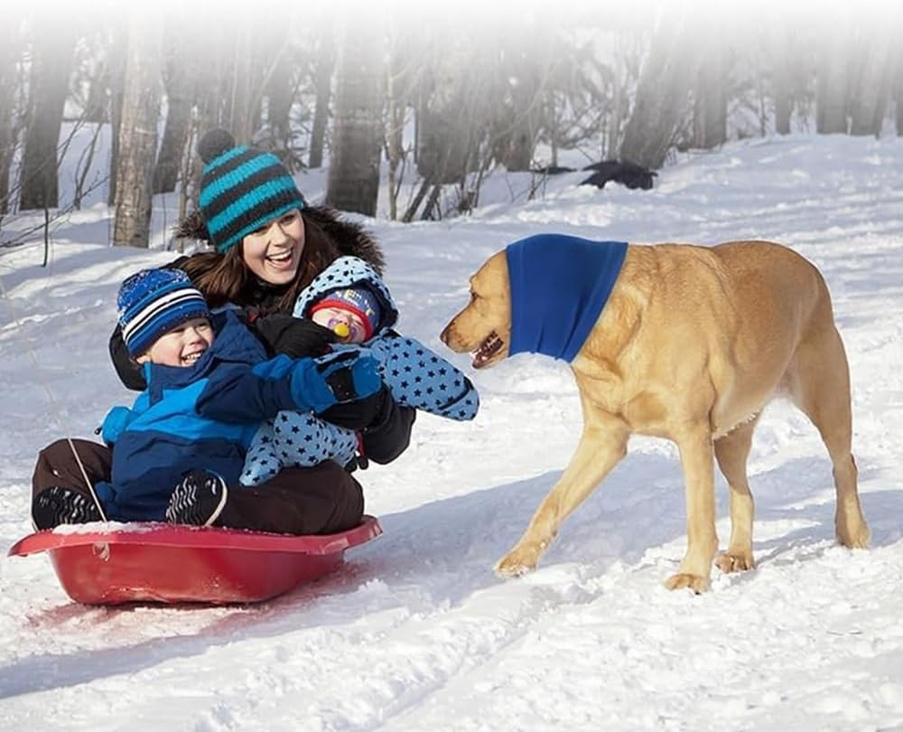 Dog Ear Wrap, Quiet Dog Fireworks Muffs, Ears Covers Hood for Noise Bath,The Grooming and Force Drying Pet Ears Protector and Warmer - M image number 4