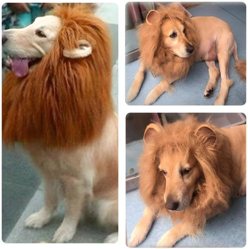 Lion Mane Wig for Dog and Cat Costume Ear and Tail Funny for Medium to Large Sized Dog Golden Retriever Halloween Lion Costumes image number 1