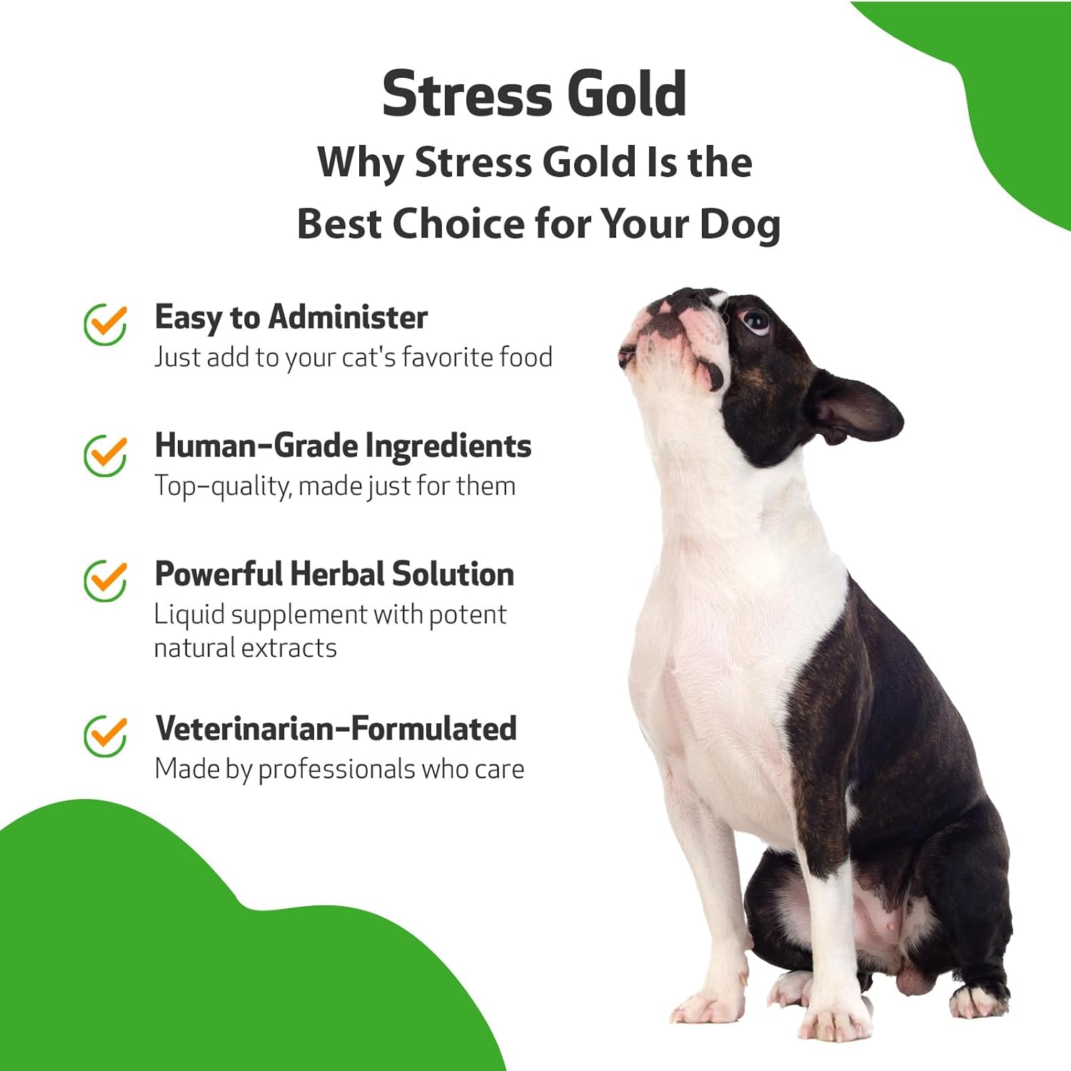 Pet Wellbeing Stress Gold for Dogs - Occasional High Stress and Restlessness, Supports Relaxation, Travel, Vet Trips, Skullcap, Valerian - Veterinarian-Formulated Herbal Supplement 2 Oz (59 Ml) image number 3