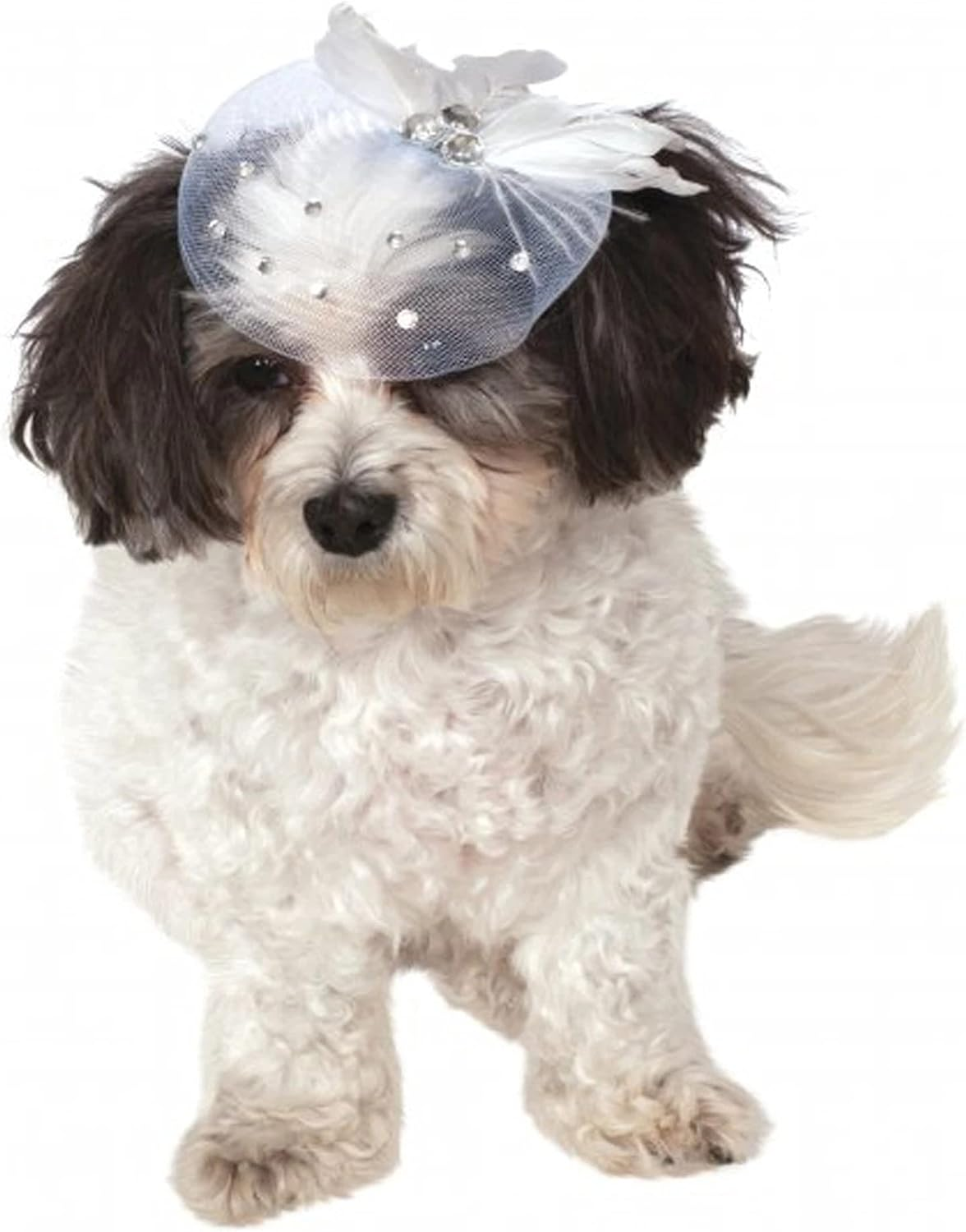 Fancy Formal Fascinator for Pets - Small-Medium (S-M) image number 2
