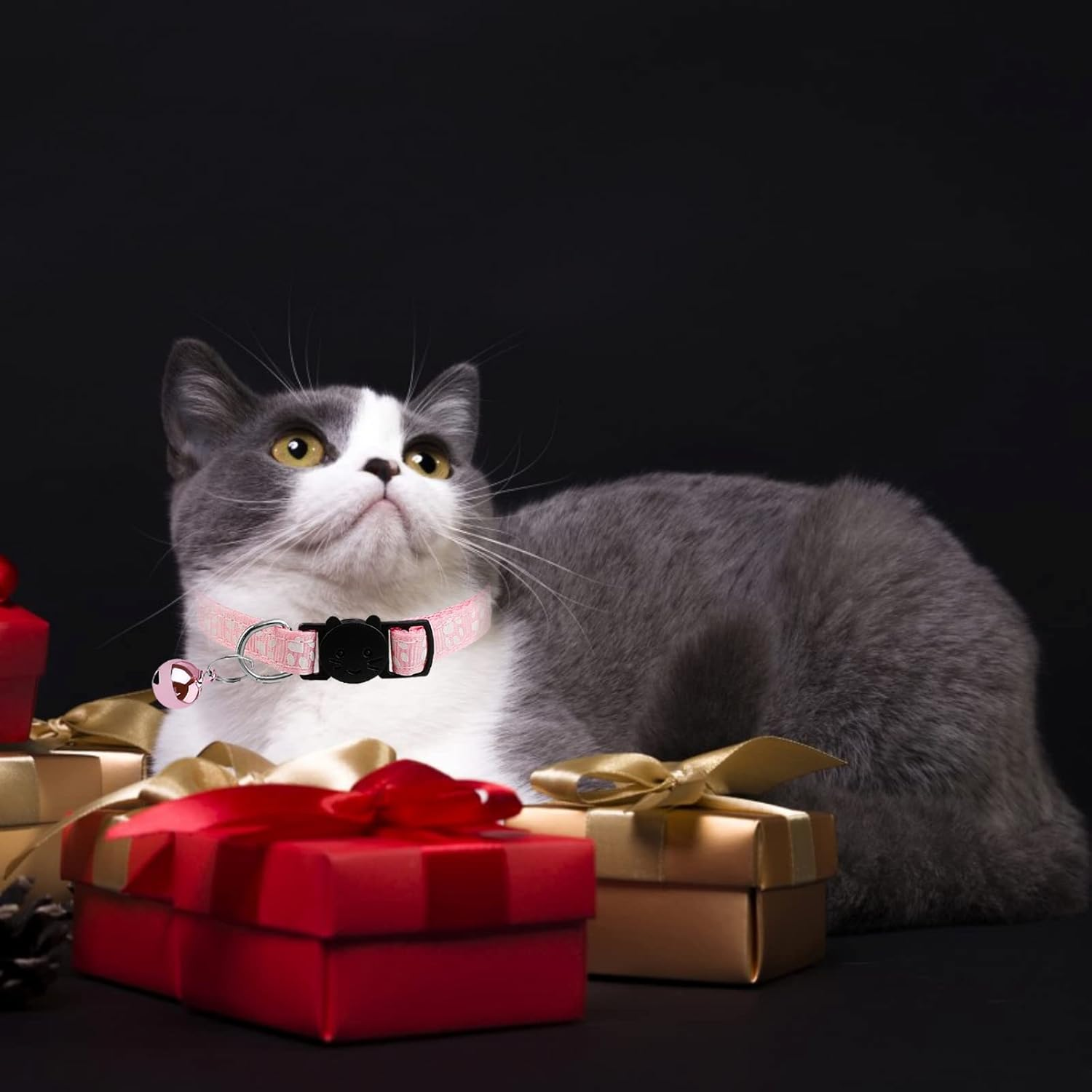 Reflective Cat Collar, Pack of 4, Safety Cat Collars with Quick Release, Adjustable Kitten Collar with Safety Clasp and Bell for All House Cats image number 4