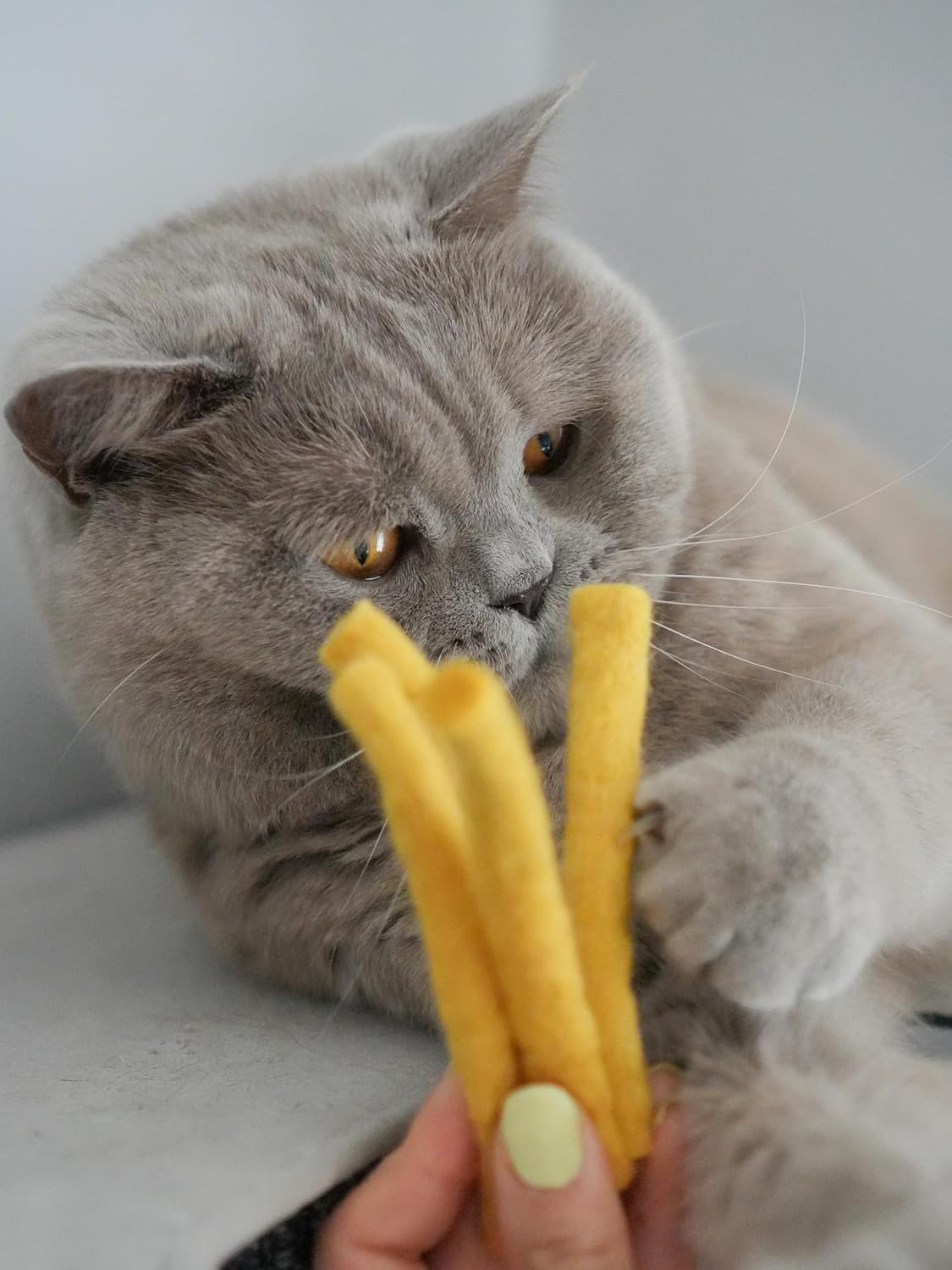 MEWOW 5 Felt Fries Cat Toy PAW Frites Pure Virgin Wool Cat Ball for Cats image number 3