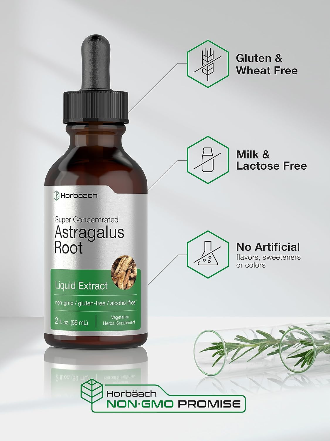 Astragalus Root Extract | 2 Oz | Alcohol Free | Super Concentrated | Vegetarian, Non-Gmo, Gluten Free Tincture | by Horbaach image number 1