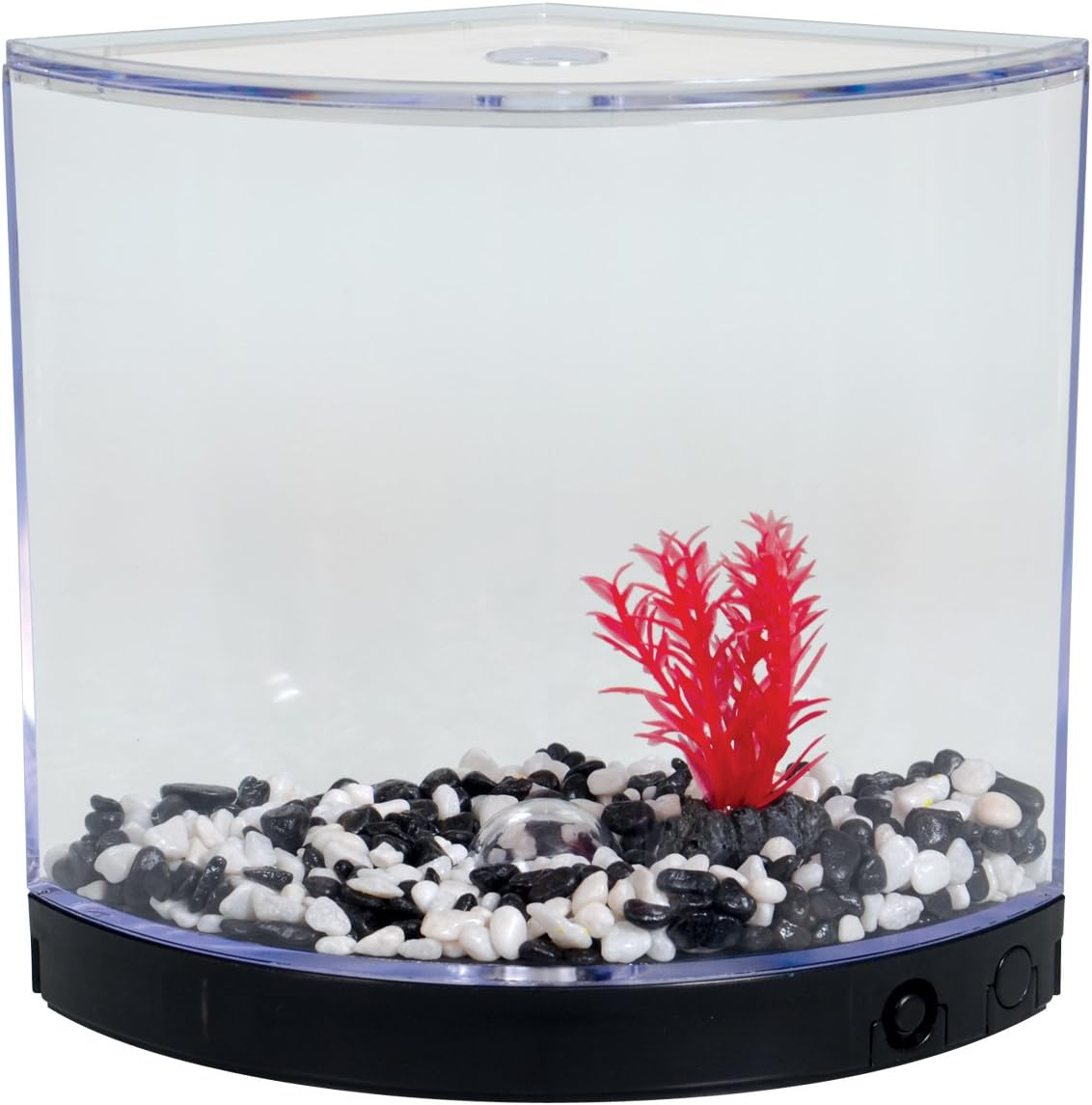 Betta Fighting Fish Black Arc Tank 1.2L Beginners Tank by Aqua One