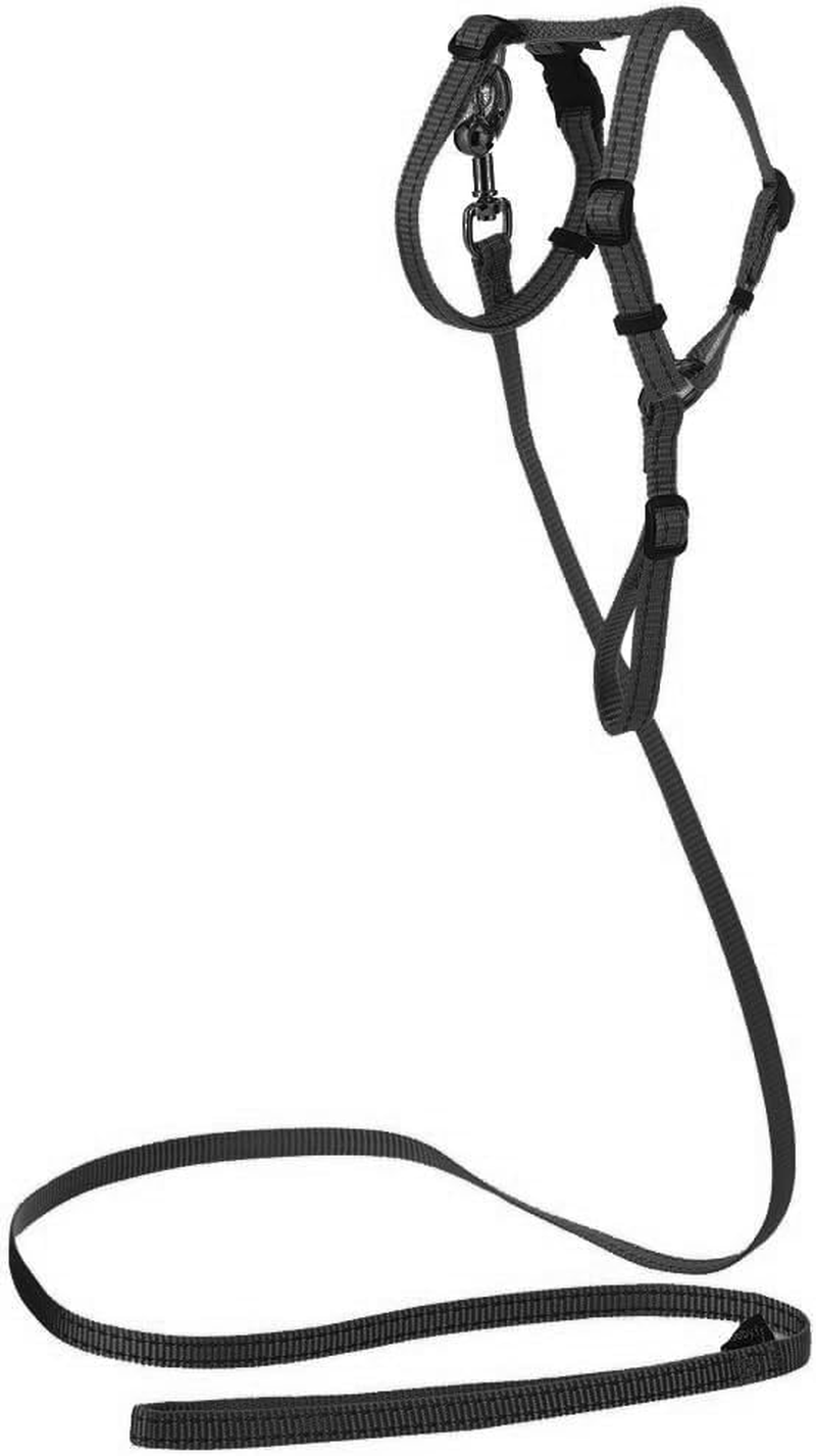 Bobby Safe - Cat Harness and Lead - Escape Protection - Reflective Resistant - Turquoise - 25-38 X 10 Cm - Fuchsia image number 3