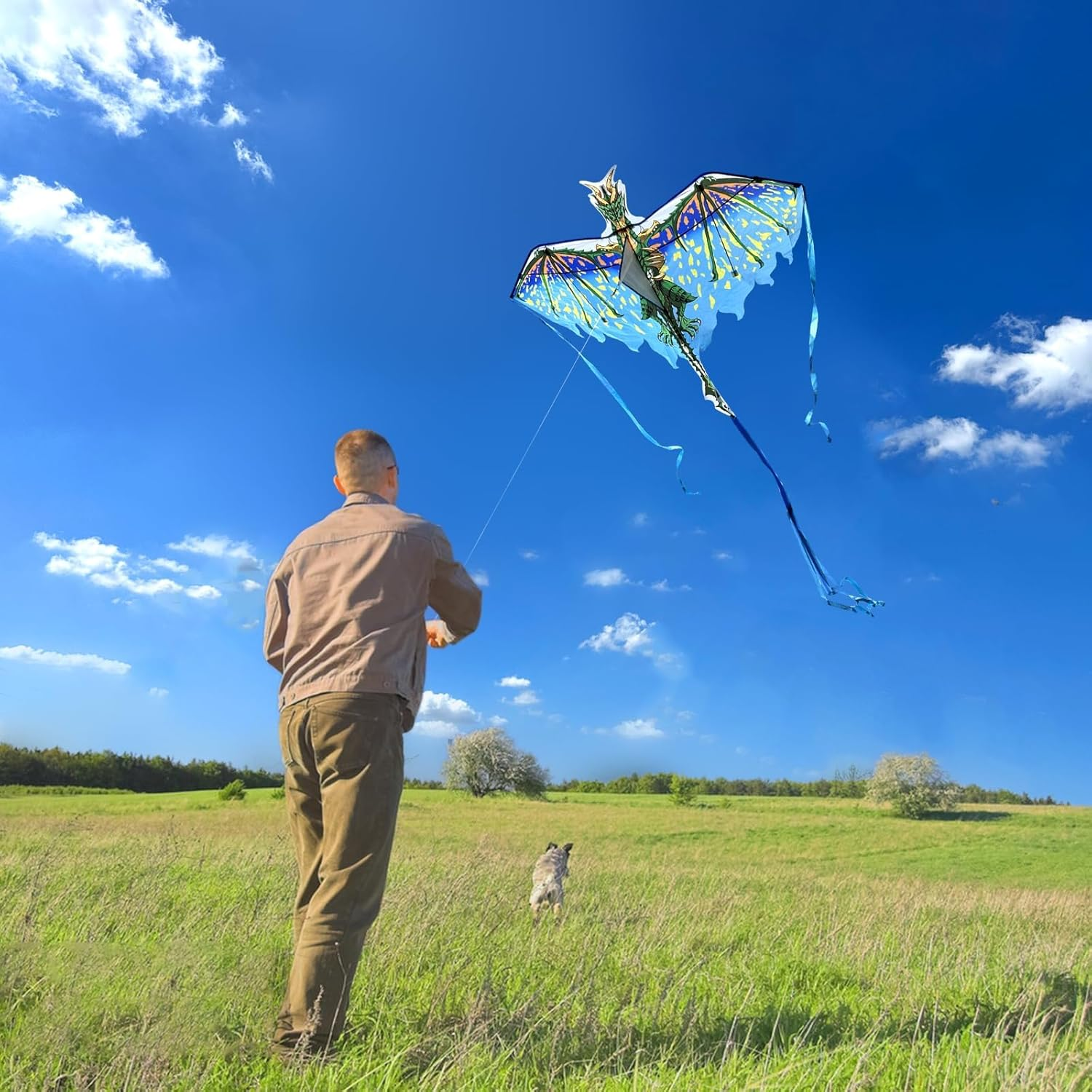 Mint'S Colorful Life Dragon Kite for Kids & Adults - Easy to Fly for Beginners, Large Single Line for Beach Trip with 300Ft String image number 6