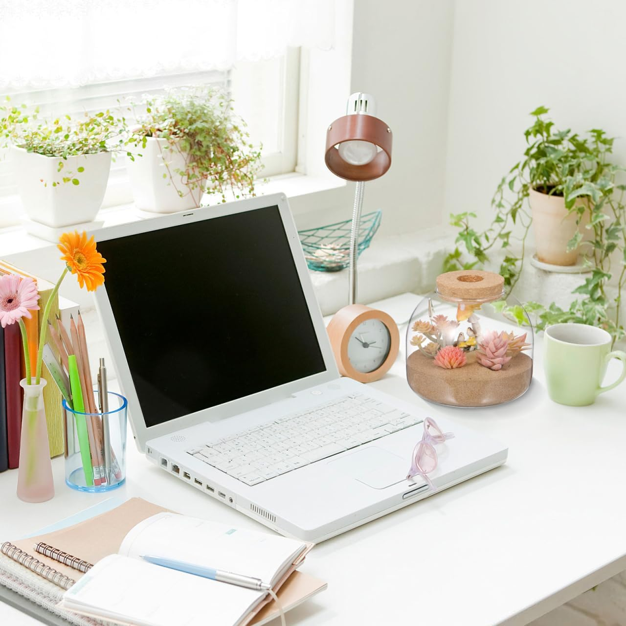 ULTECHNOVO Glass Terrarium: Transparent Glass Fish Tank with Cork Lid for Hydroponic Plants and Moss Landscape for Craft DIY Planter Decor Home and Wedding Centerpieces image number 5