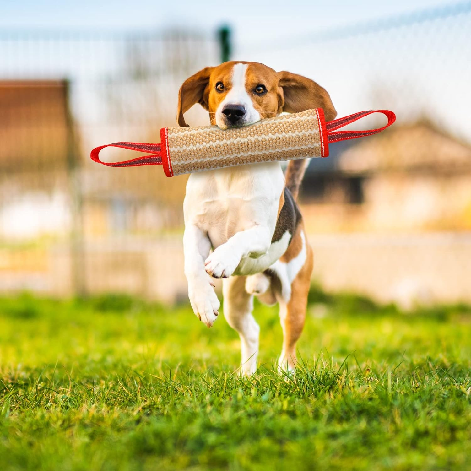 Libima 2 Pcs Dog Bite Pillow Tug Toy Dog Pillow with Strong Handles Tug of War Training Tools Toy Linen Pad for Puppy Young Small Medium Pets Interactive Play Training image number 2