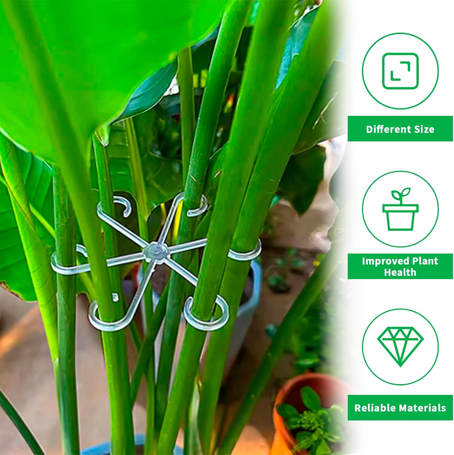4 PCS Plant Stem Support, Climbing House Plant Stem Support, Plant Supports for Indoor Plants, Reusable Houseplant Accessories（Transparent） - Red image number 2