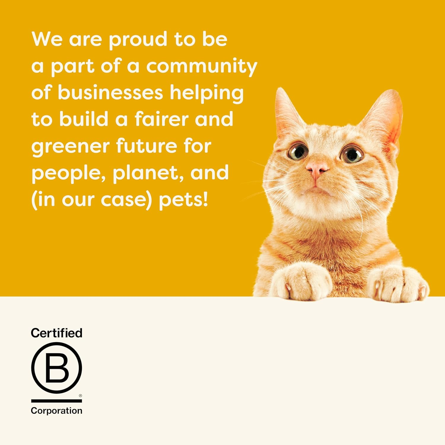 Applaws 100% Natural Grain Free Chicken Recipe Puree Treat, Limited Ingredients Pet Food 4X15G (Pack of 10) image number 5