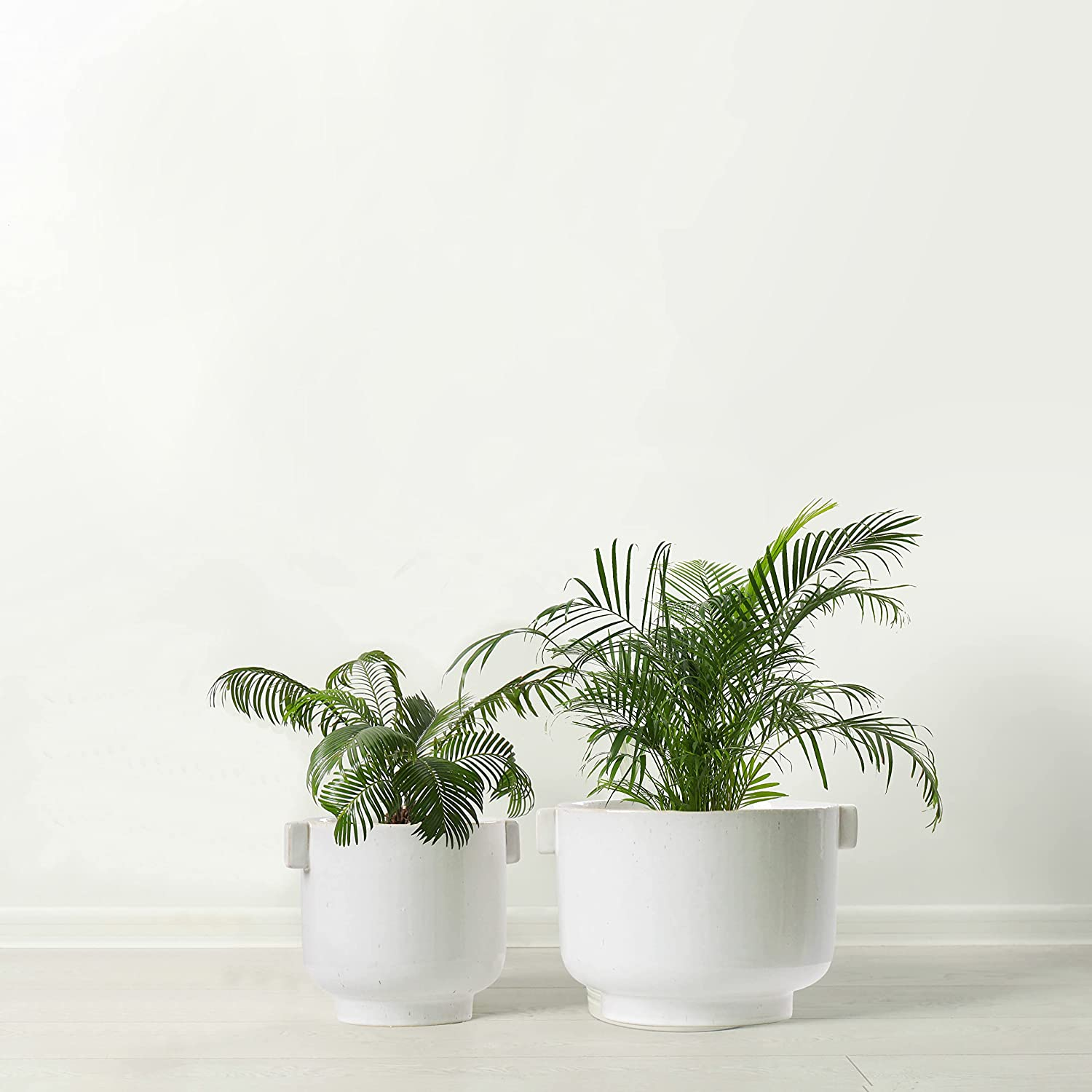 Olly & Rose Cotswolds Ceramic Plant Pot Set with Handles - Indoor & Outdoor Planters - Aged White Gloss Finish image number 2