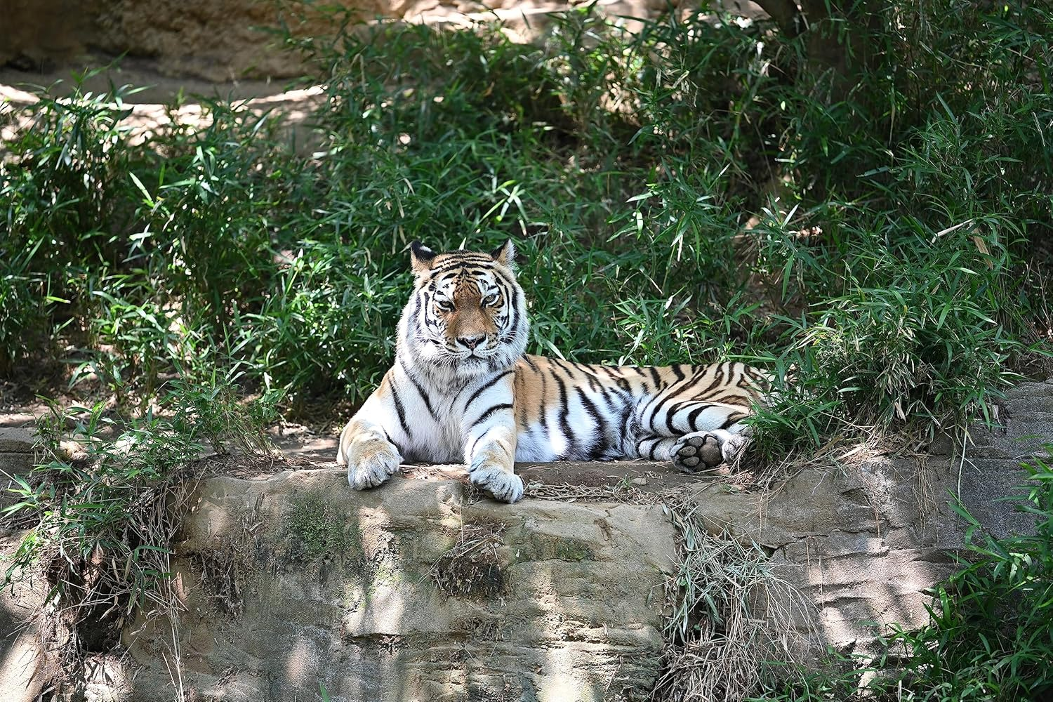 Nikon Z Teleconverter Tc-2.0X [AU Version] image number 4