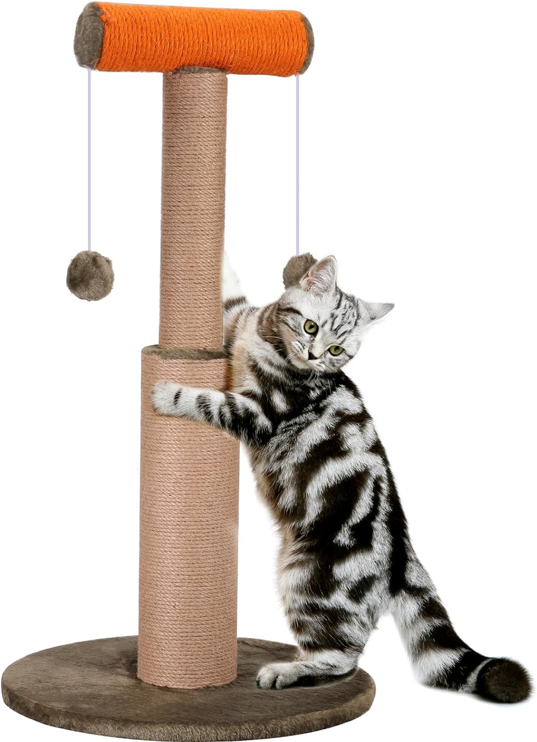 Cat Scratching Post, 29.5&rdquo; Tall Scratch Posts Sisal Scratcher with Hanging Plush Ball Toys for Indoor Adult Cats & Kittens image number 5