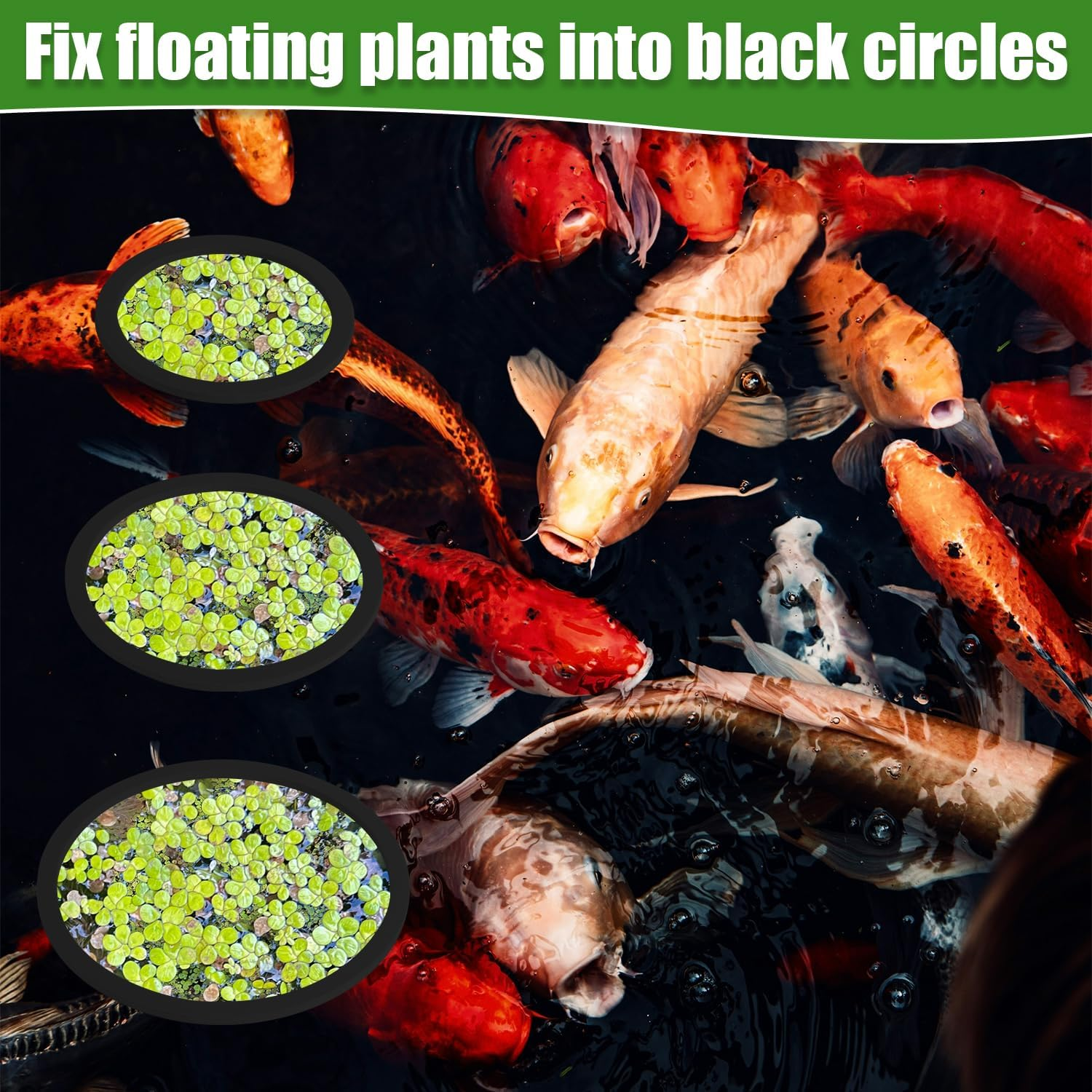 PEUTIER 6Pcs Fish Feeding Rings, Aquarium Floating Plant Rings, round & Square Fish Feeder Rings Floating Plant Corral Fish Tank Plant Ring for Bettas, Goldfish, Turtle Aquarium Accessories (Black) image number 6