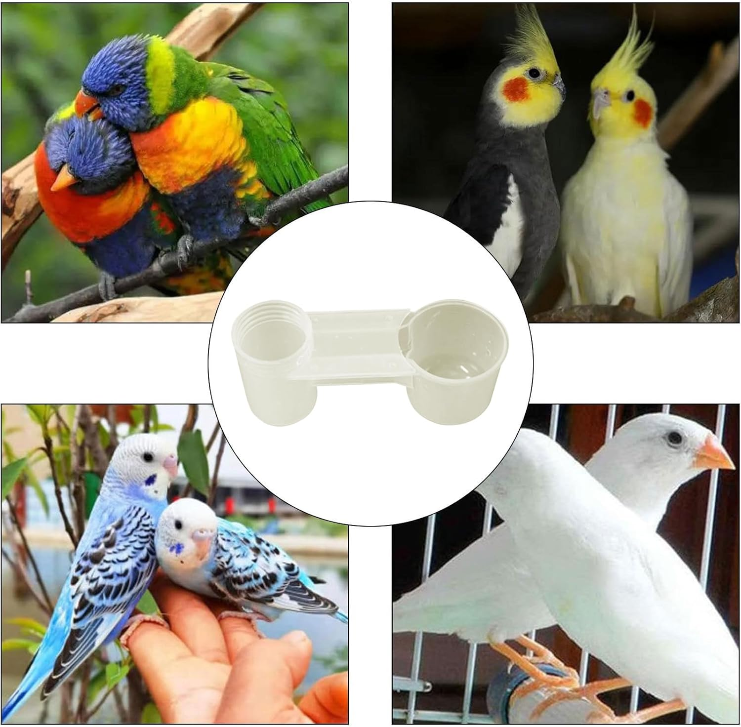 Bird Water Dispenser | Water Bottle Bird Drinker for Cage - Splash-Proof Transparent Dispenser Double-Port Design for Pigeons Chickadees Parakeet Finches Chicken Home Garden image number 1