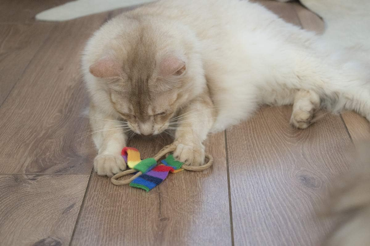 Cat Dancer Chaser (6 Pack) image number 2