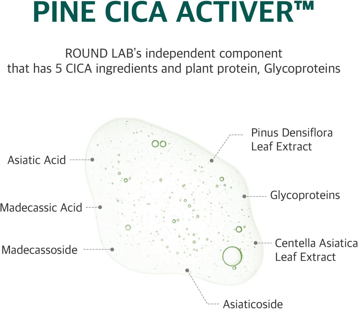 Round Lab Pine Calming Cica Pads (50-Pieces) image number 3