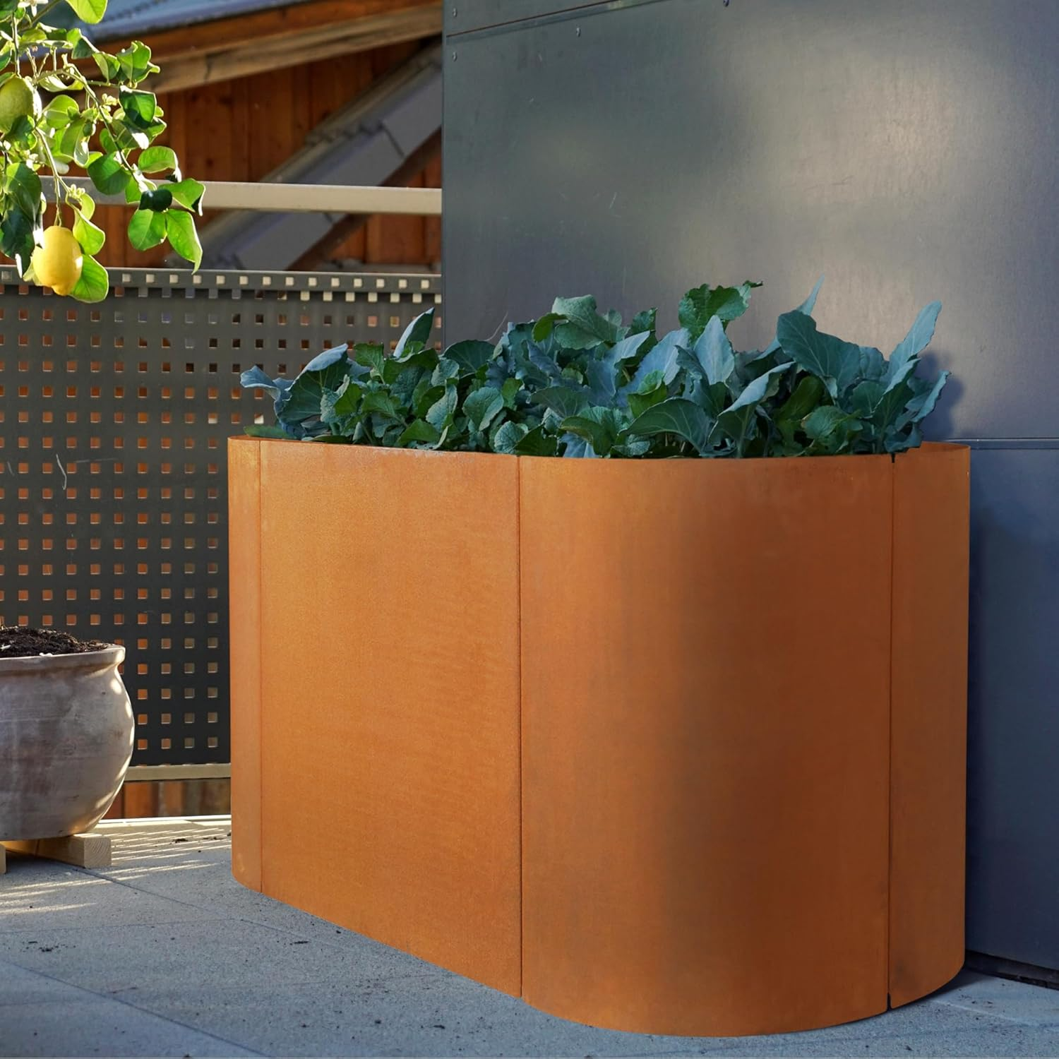 Worth Garden Heavy Duty Corten Steel Raised Garden Bed Kit - 48" Lx24 Wx24 H - Metal Pre-Rusted Planter Box for Vegetables, Flowers, Herbs, Olive Green - Outdoor Gardening image number 6