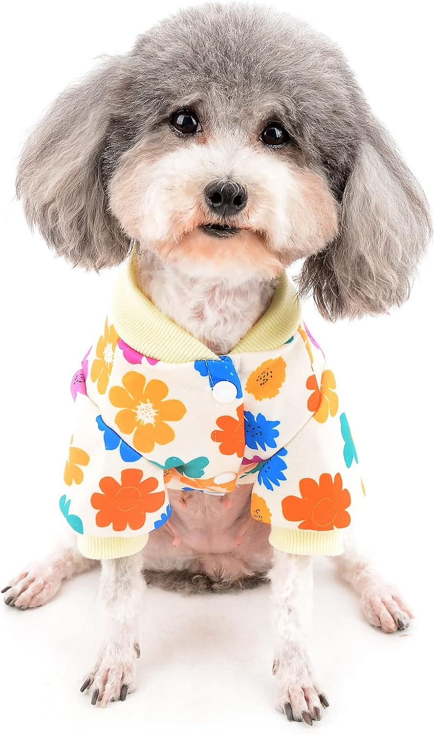 Zunea Dog Sweaters Coat for Small Dogs Winter Pullover Sweatshirt Flowers Printed Puppy Clothes Jumper Soft Warm Pet Jacket Coat Female Apparel Clothing for Chihuahua Yorkie White M image number 5